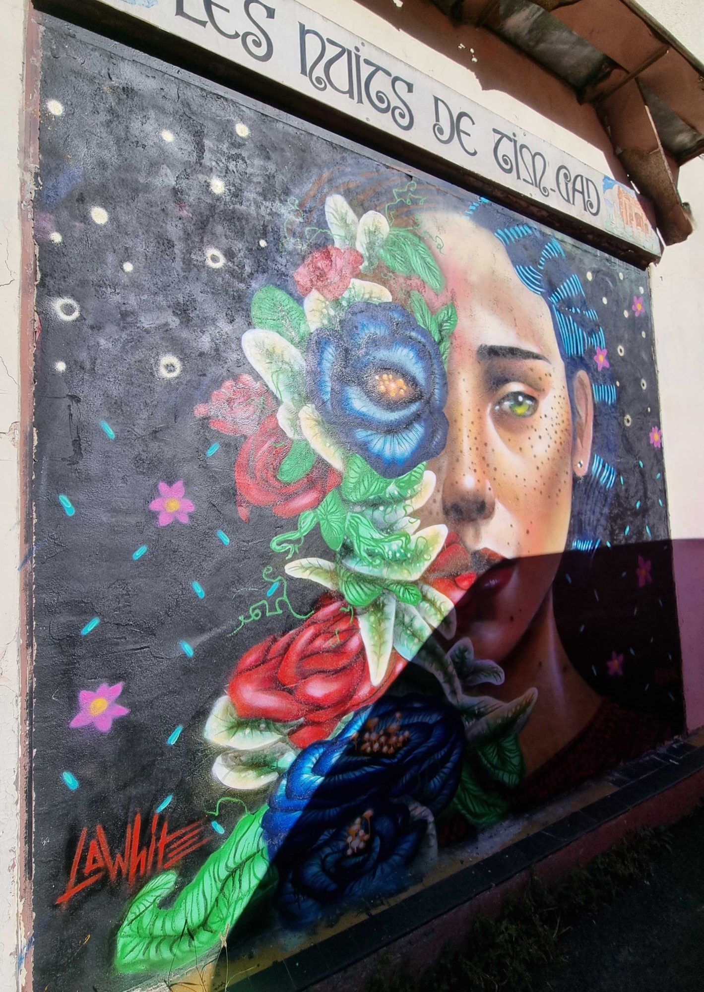Visage fleuri par Lawhite — Street art à Clermont-Ferrand