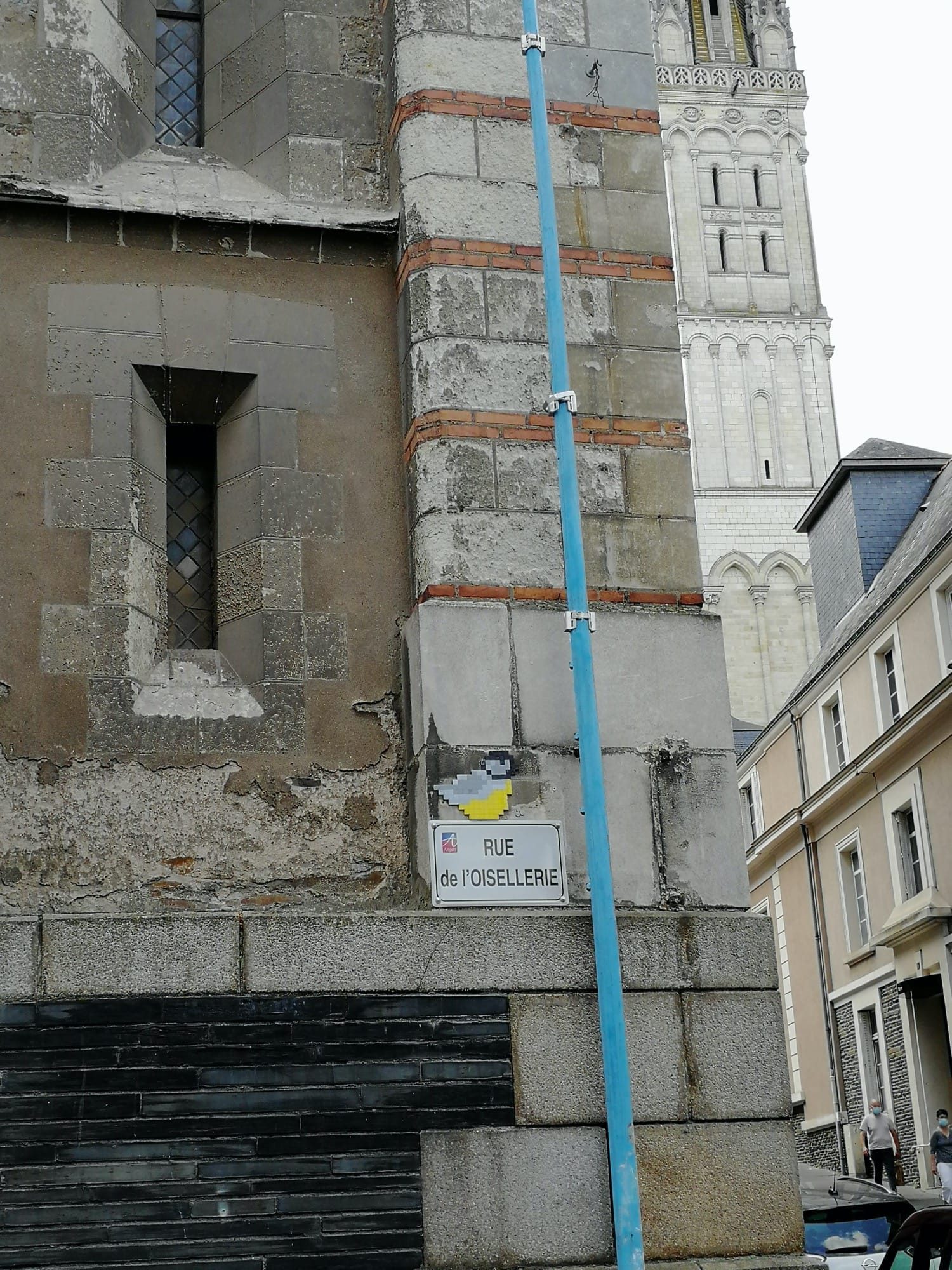 La mésange de la rue de l'Oisellerie — Street art à Angers