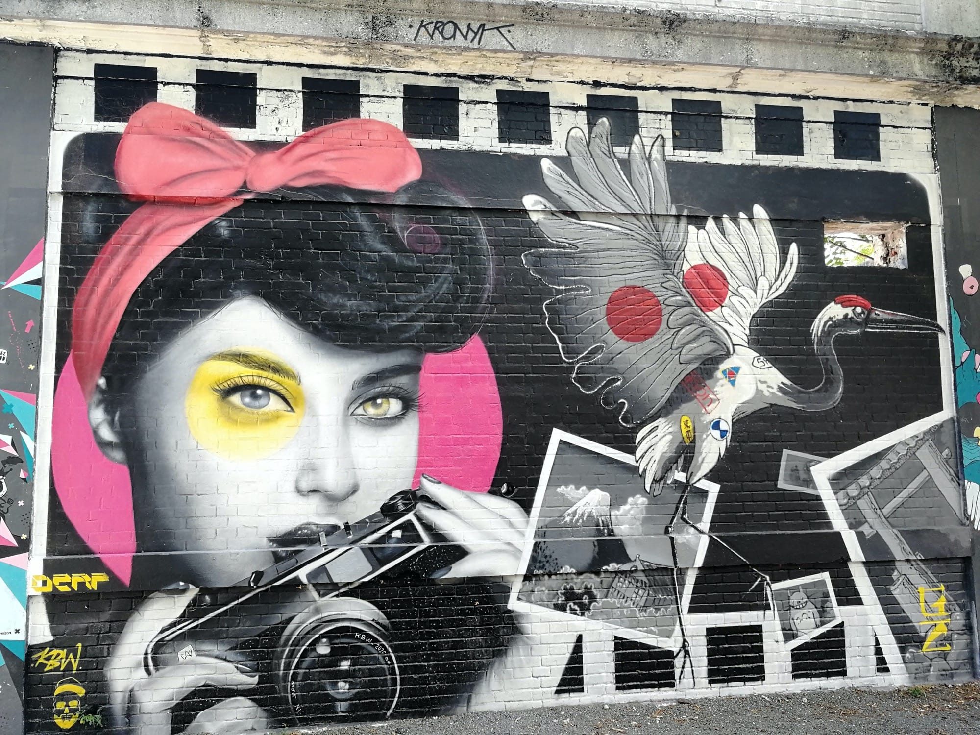 The Woman with the Camera — Street art by Derf in Bordeaux