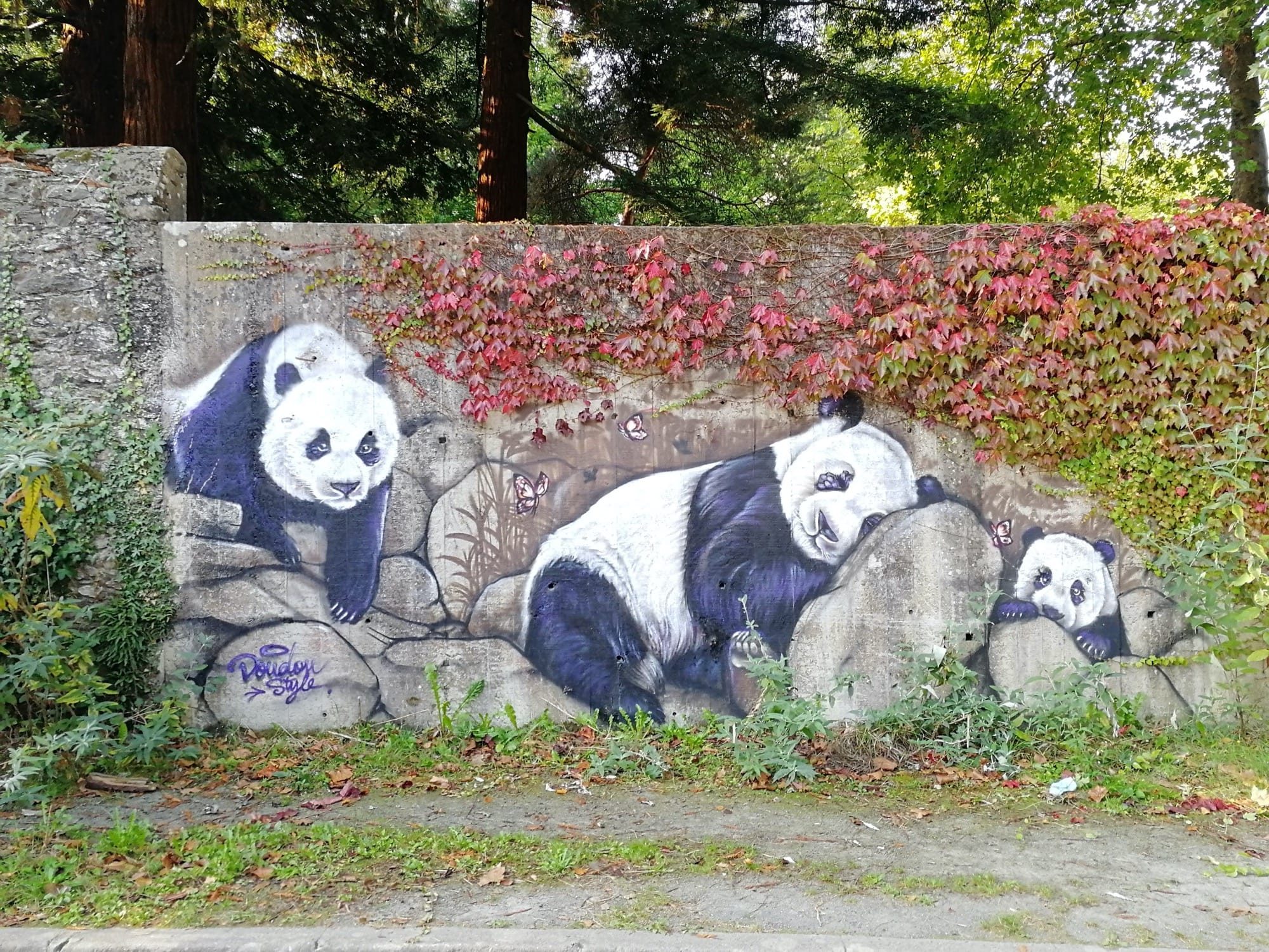 Trois pandas sur le mur — Street art de Doudou style à Nantes