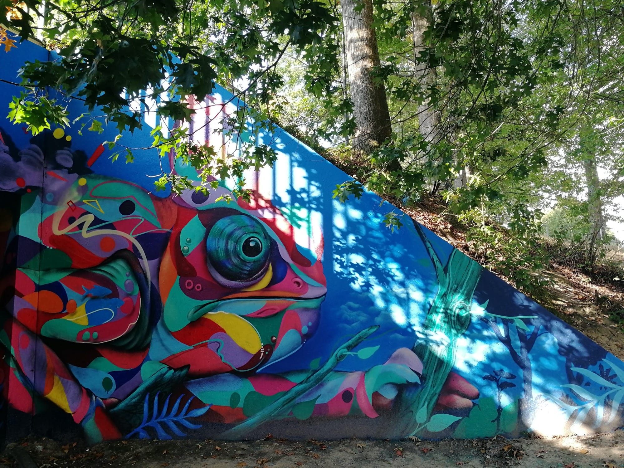 Multicoloured Chameleon in Nantes — Street art by Sitou, Kafé Korsé in Nantes