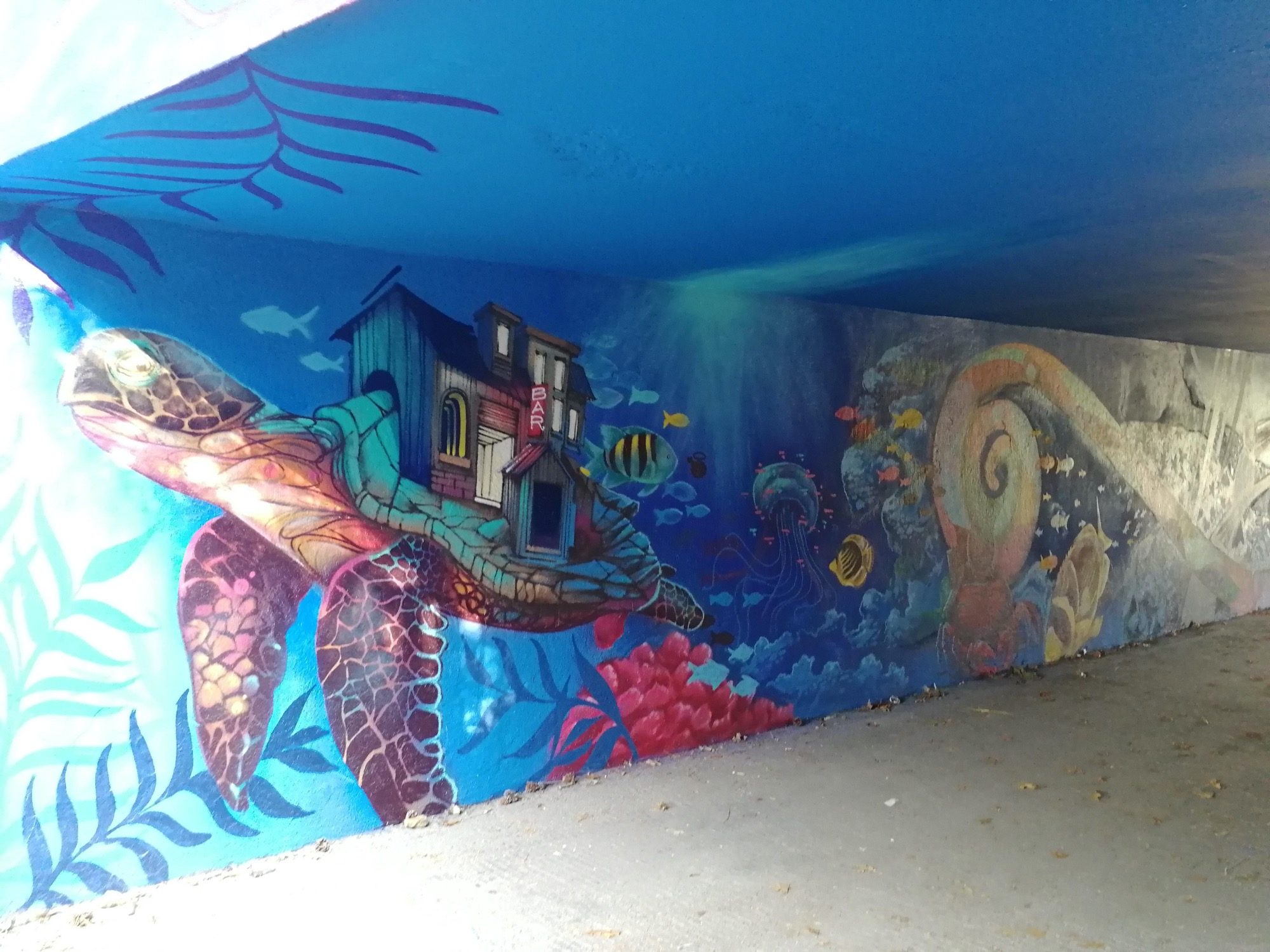 Turtle Carrying a House — Street art by Sitou, Kafé Korsé in Nantes