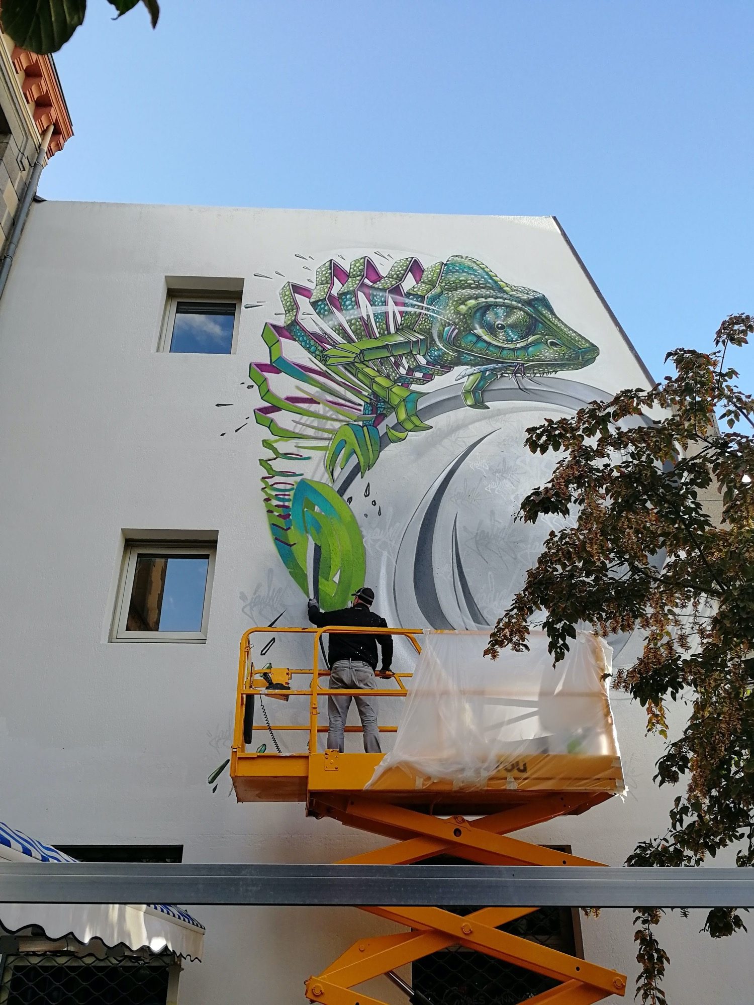 Le caméléon de Jayn — Street art de Jayn à Saint-Brieuc