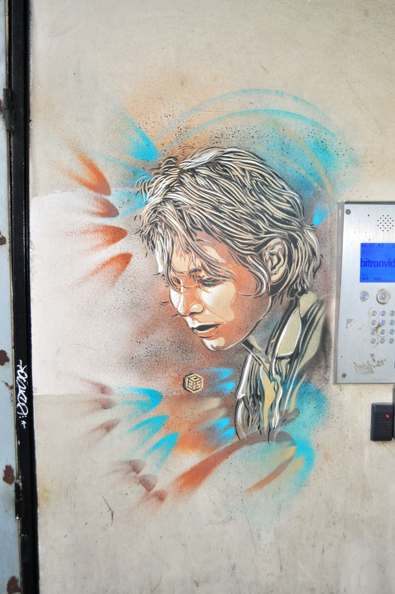 Sigolène Vinson by C215 — Street art by C215 in Paris