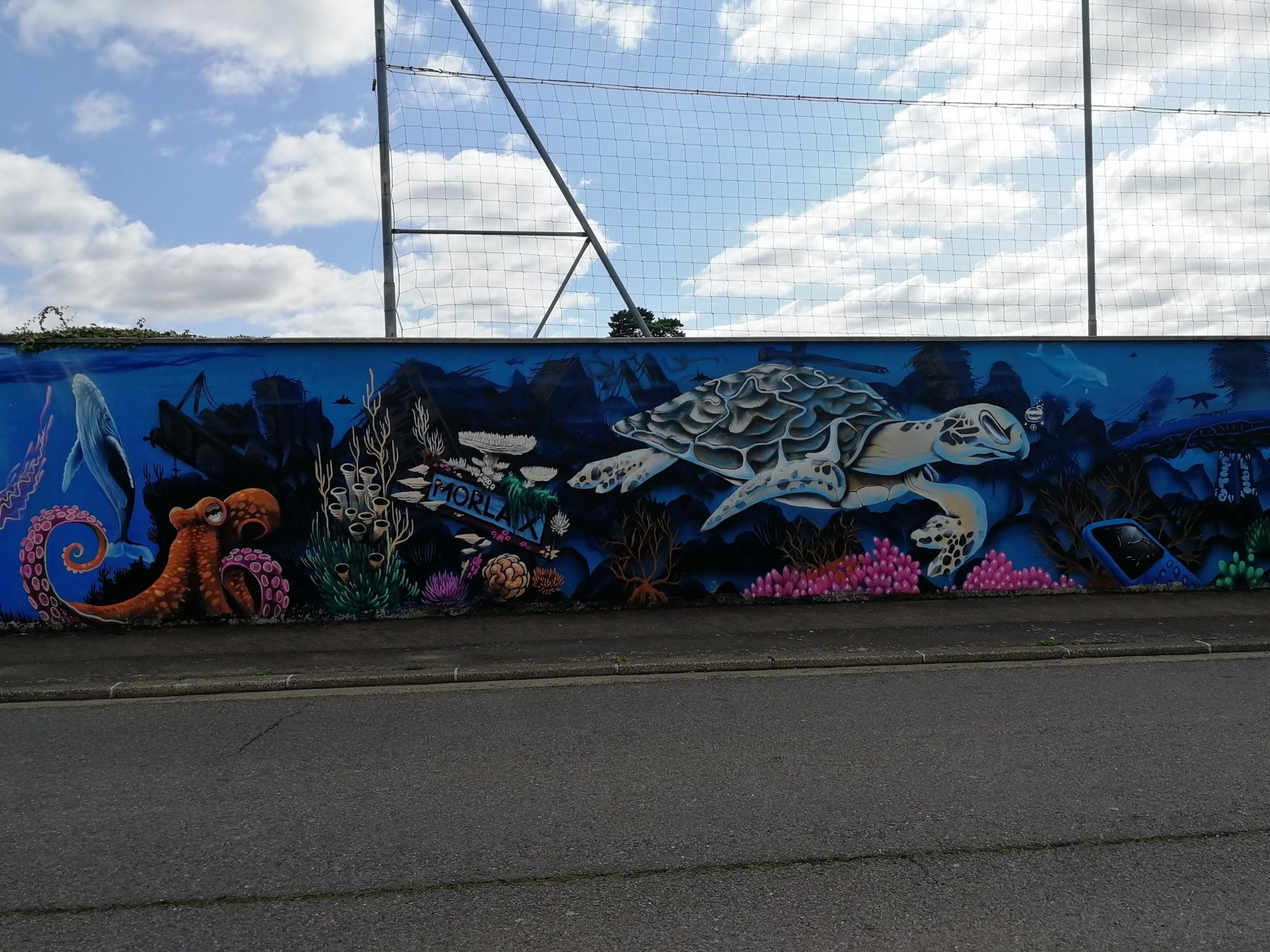Pieuvre et tortue marine, Morlaix — Street art à Morlaix