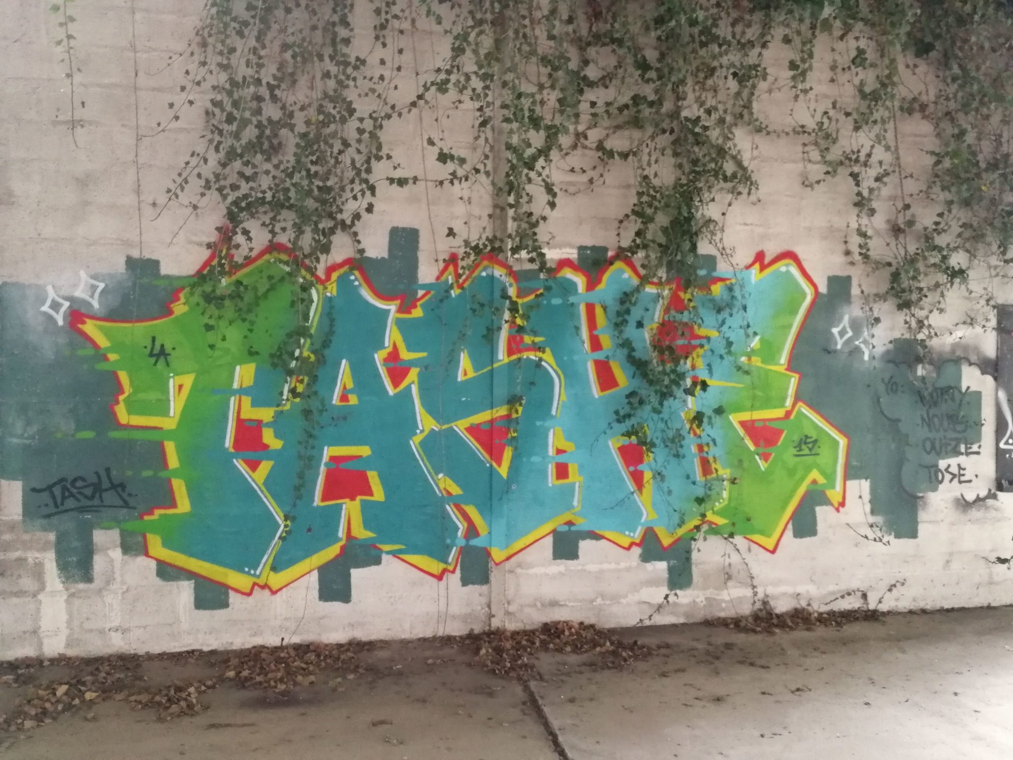 Green Piece under the Ivy — Street art in Issé