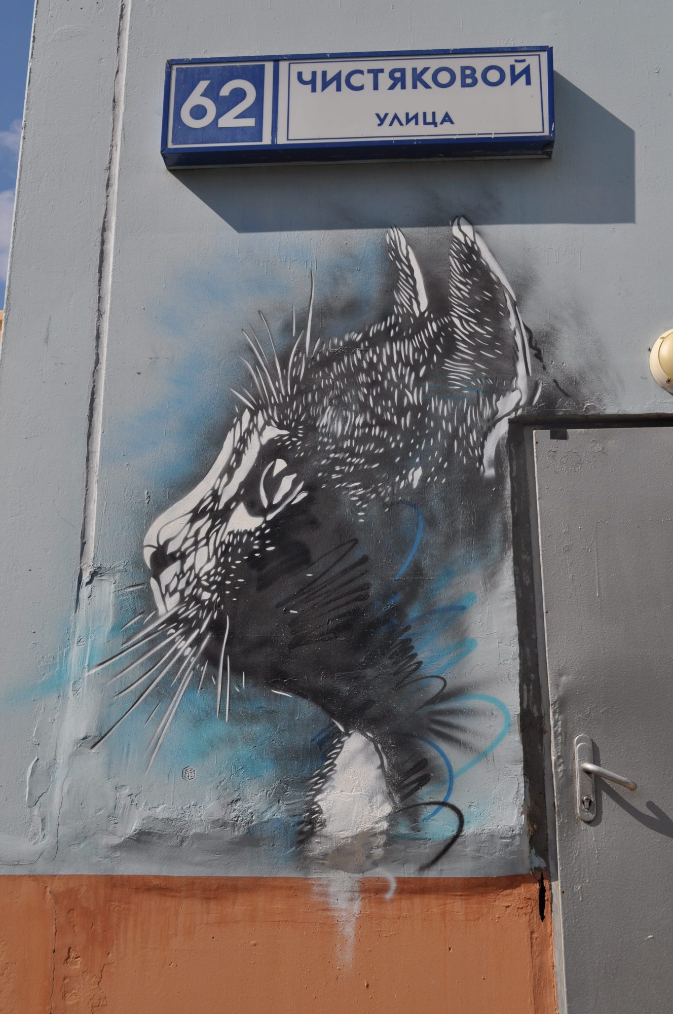 The Cat on Chistyakova Street — Street art by C215 in New Tryokhgorka