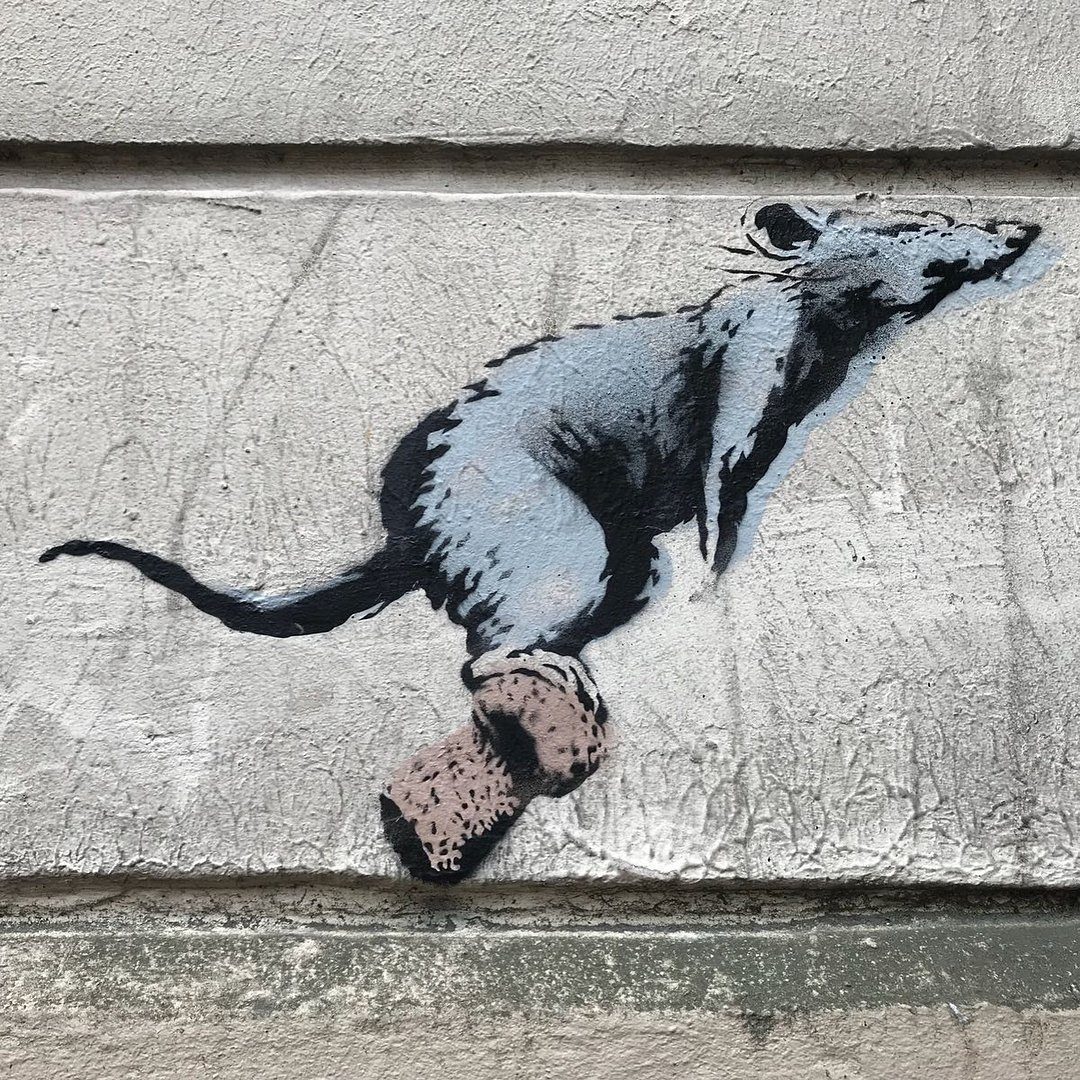 Rat Banksy Champagne — Street art de Banksy à Paris