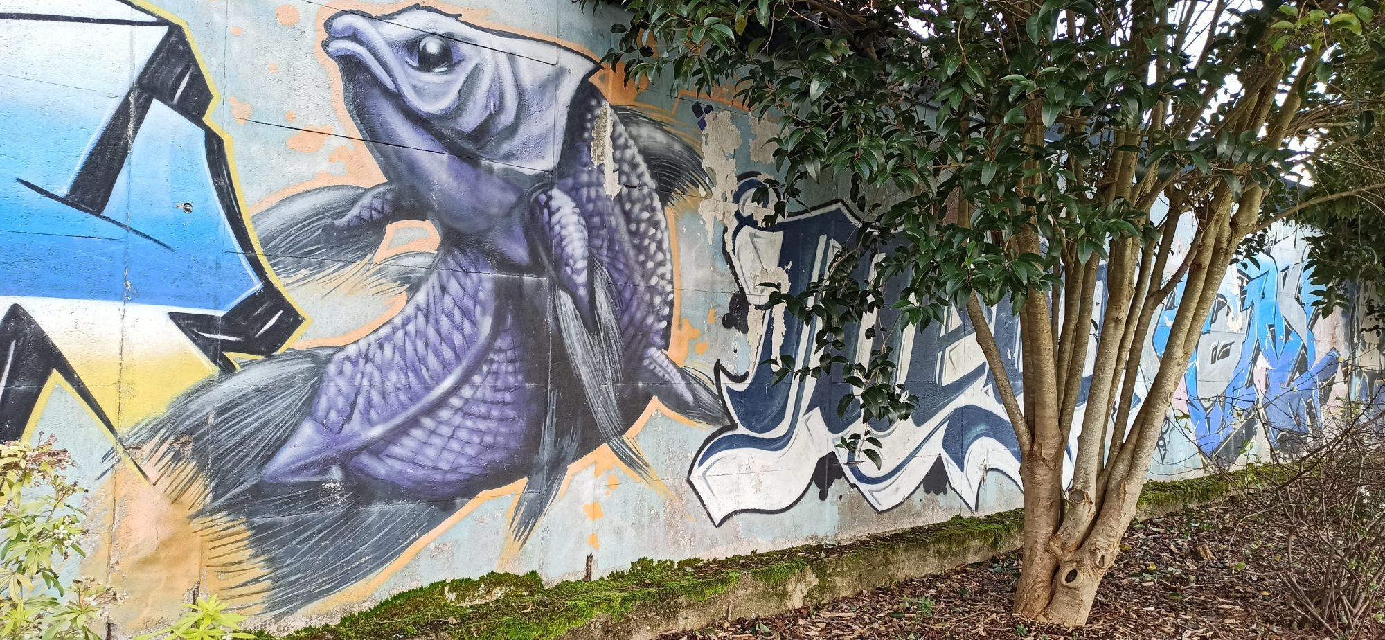 Playful Fish — Street art in Lorient