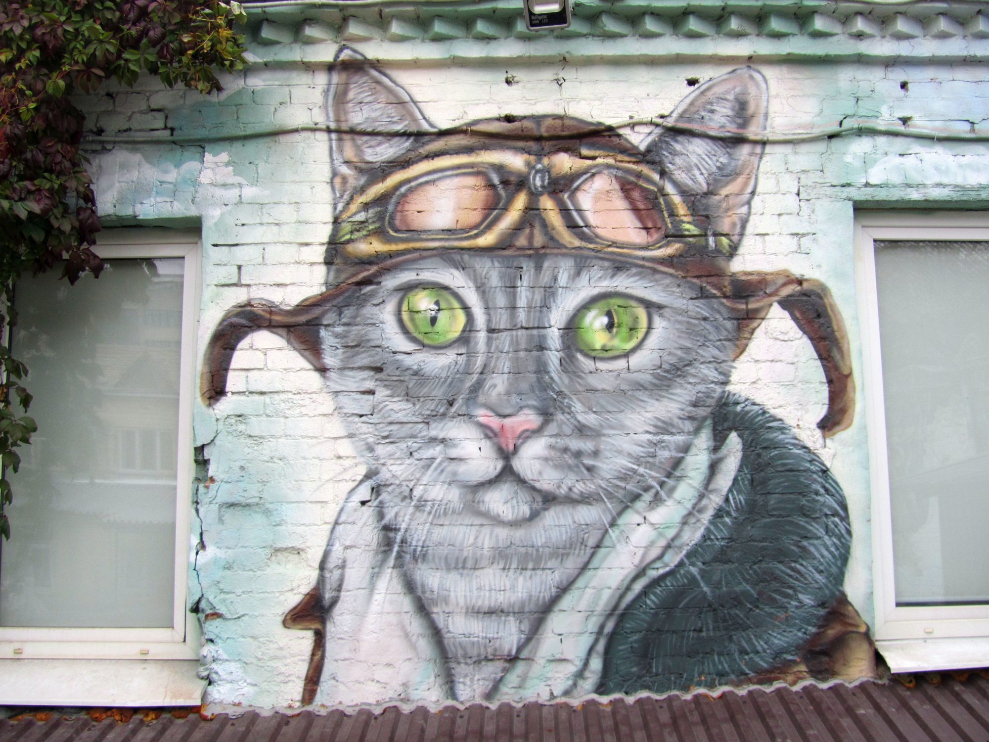 Aviator Cat with Green Eyes by Leks34 — Street art by Leks34 in Moskva