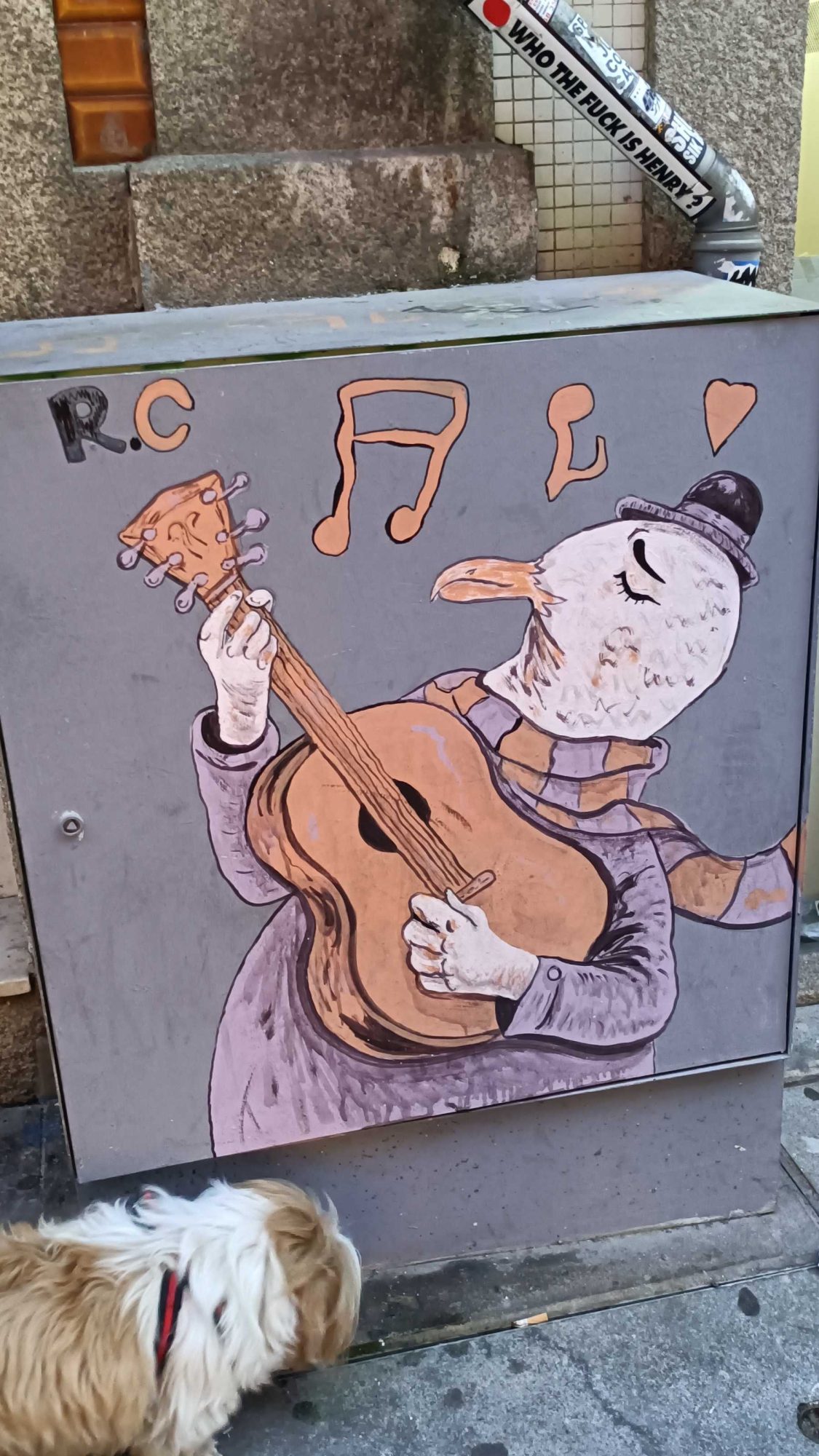 Lapin guitariste — Street art à Porto
