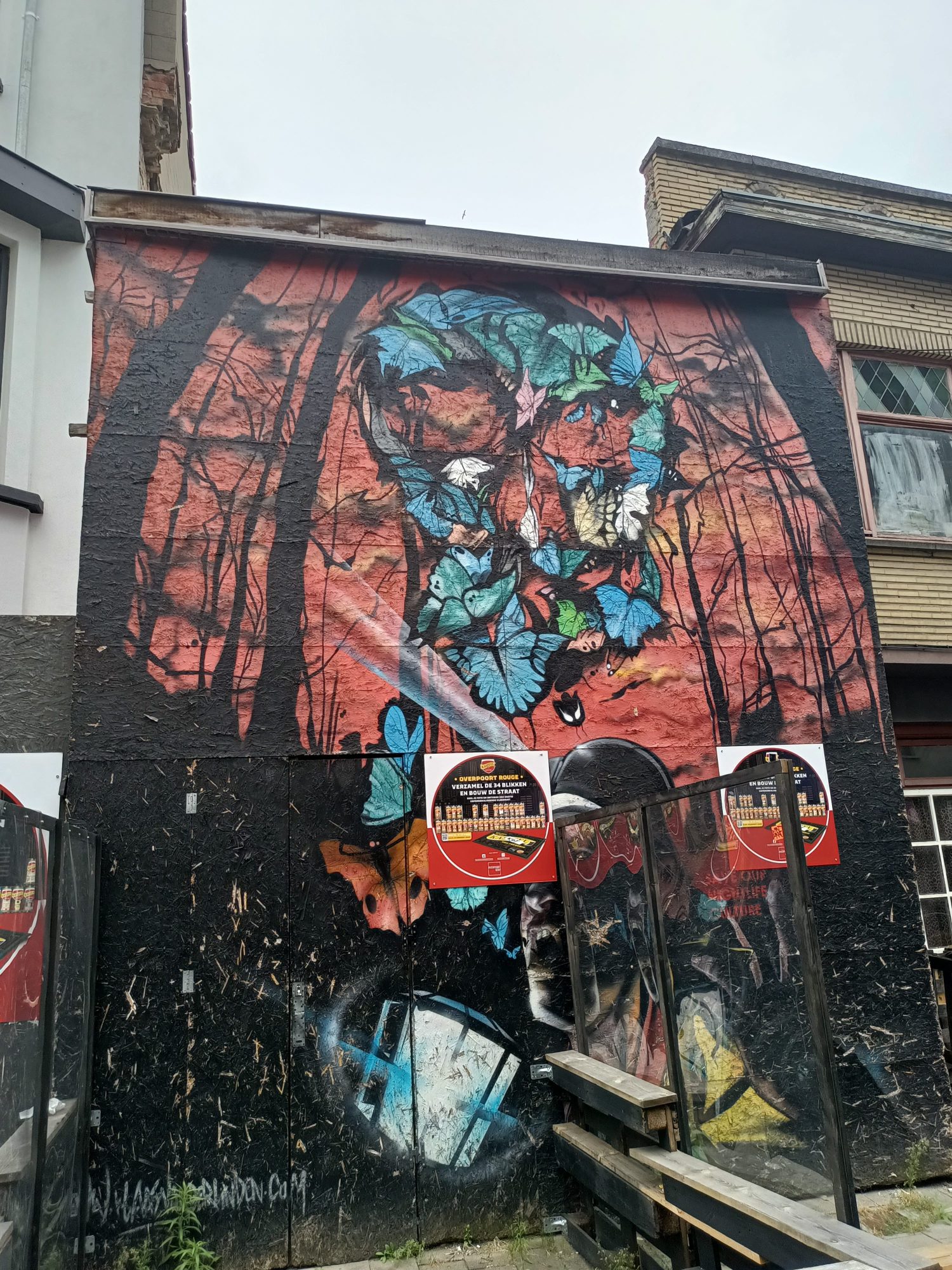 Crâne de papillons à Gand — Street art à Gent