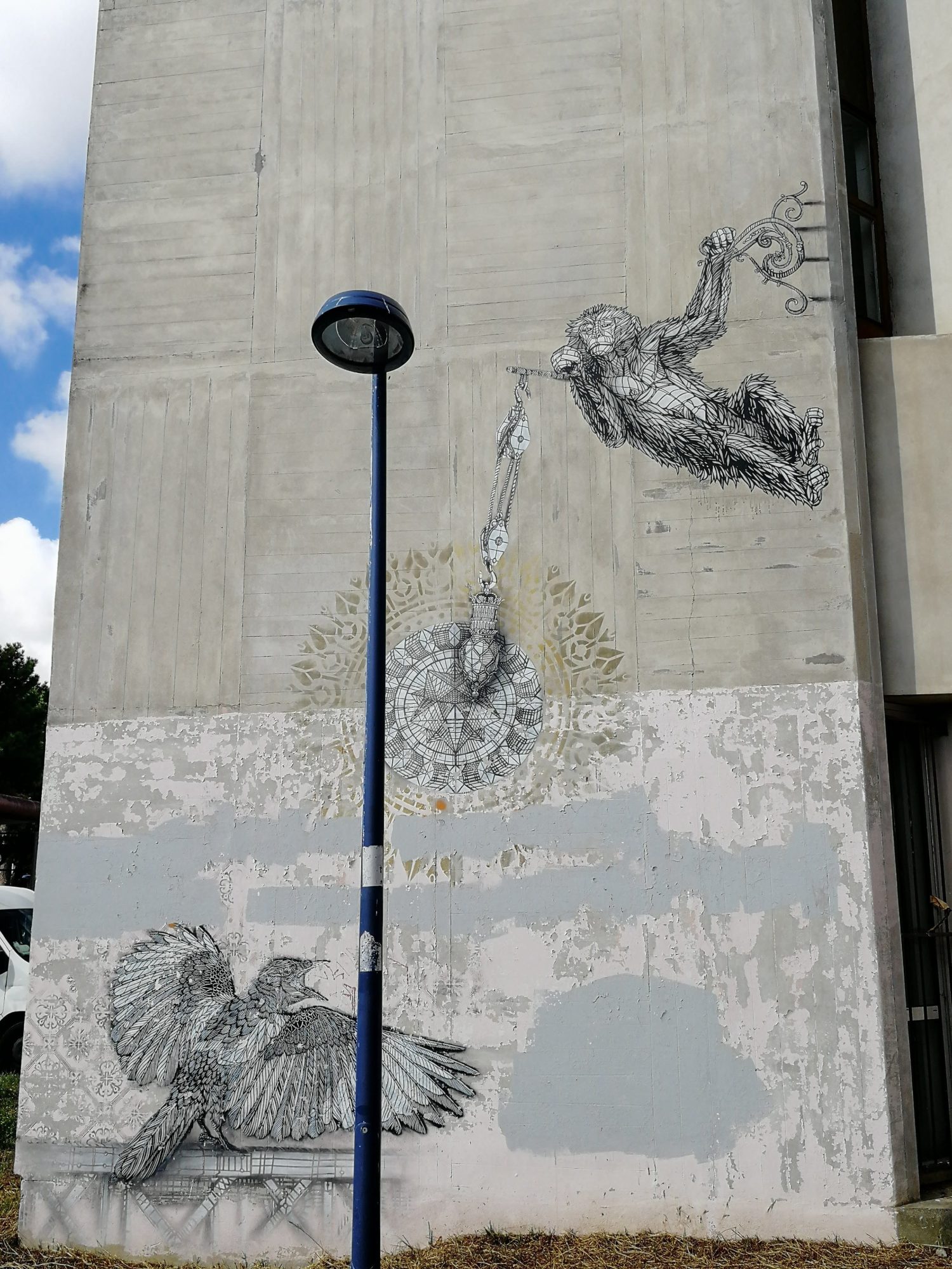Flying Monkey and Eagle by Monkey Bird — Street art by Monkey Bird in Pessac