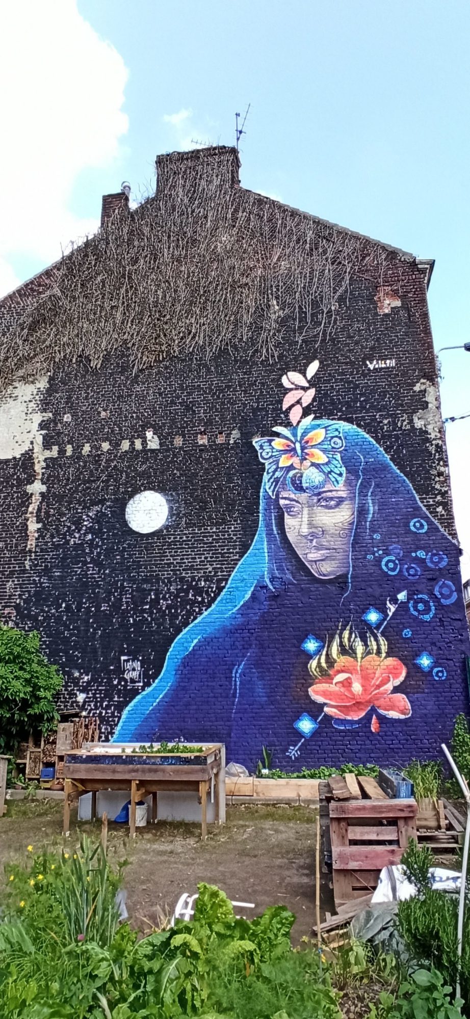 Femme mystique à la rose par Arturo Volátil — Street art de Arturo Volátil à Lille