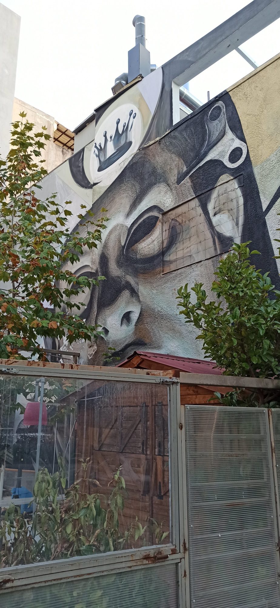 Close-Up Face and Crown — Street art in Athina
