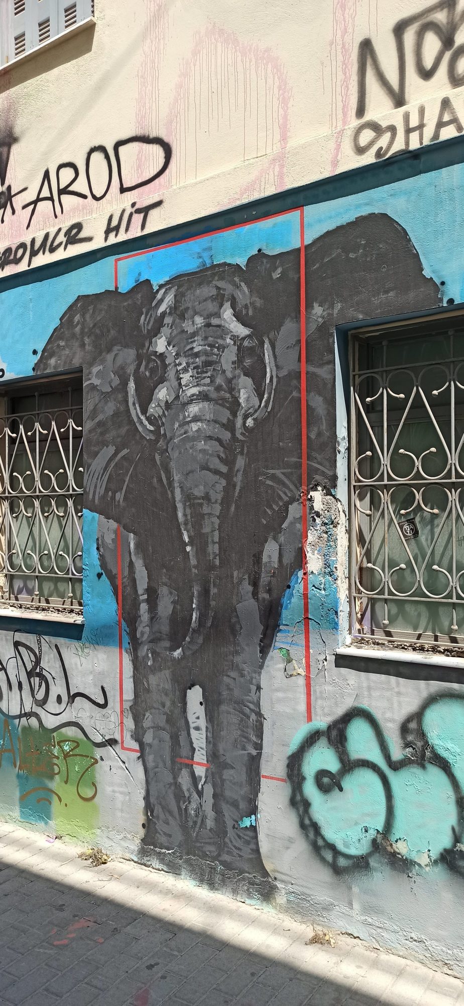 Éléphant de face sur la façade — Street art à Athina