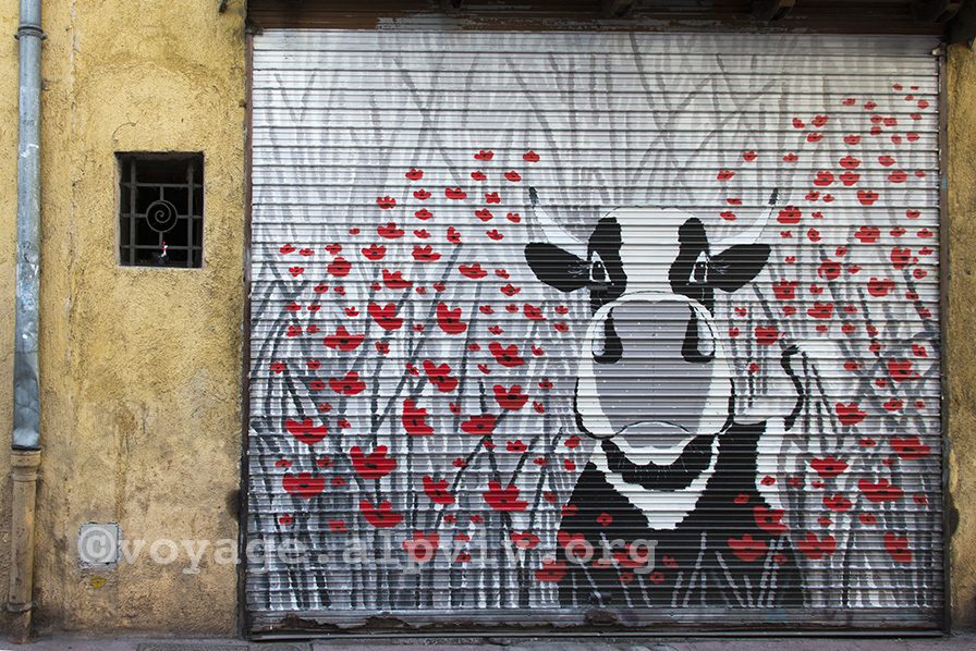 Cow Among Poppies on a Shutter — Street art in Annecy