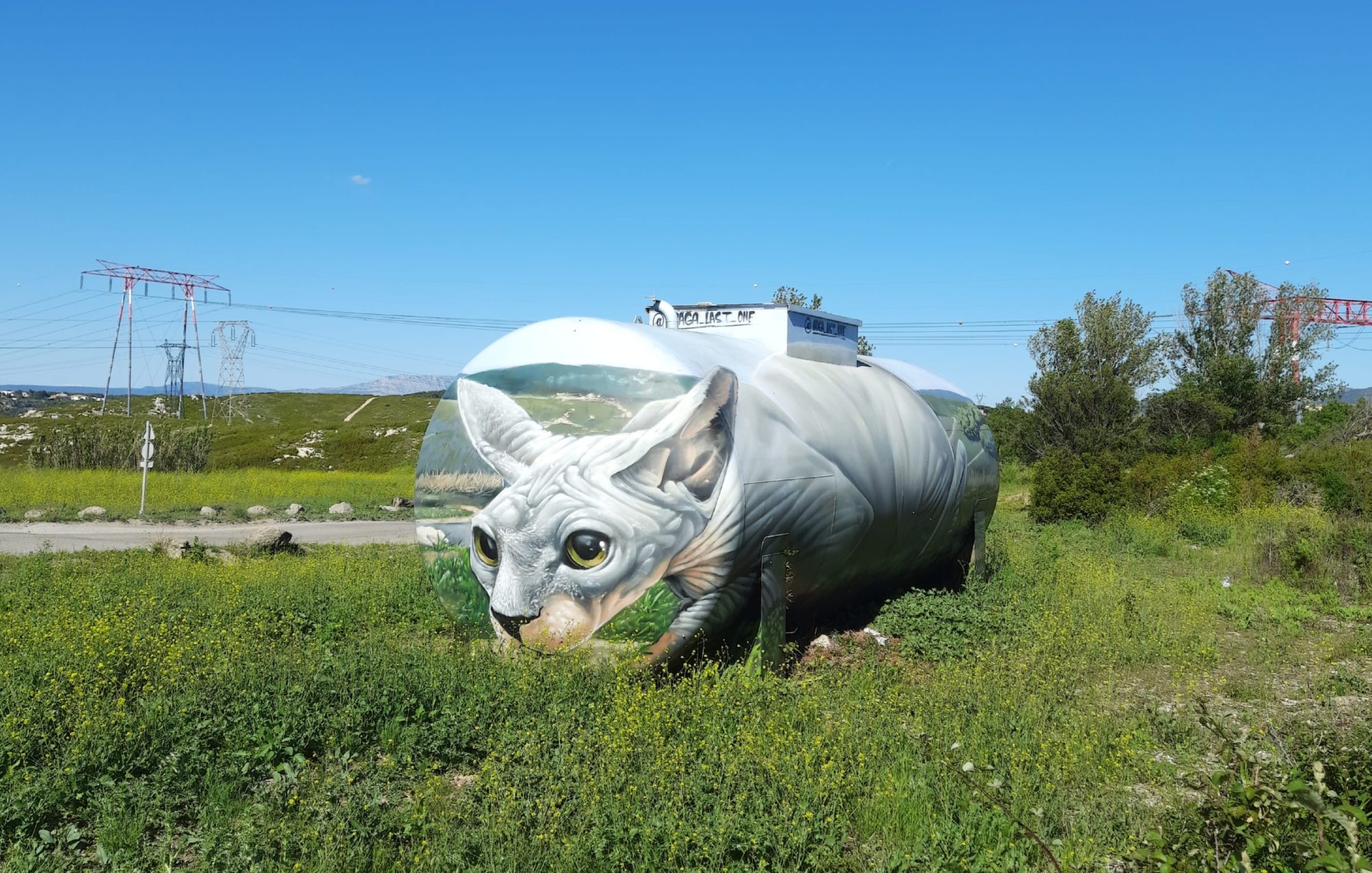 Chat Sphynx sur citerne — Street art de Braga last1 à Les Pennes-Mirabeau