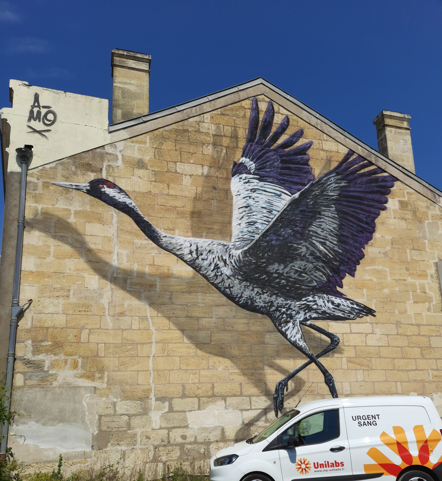 The Crane Taking Flight — Street art by A-mo in Libourne