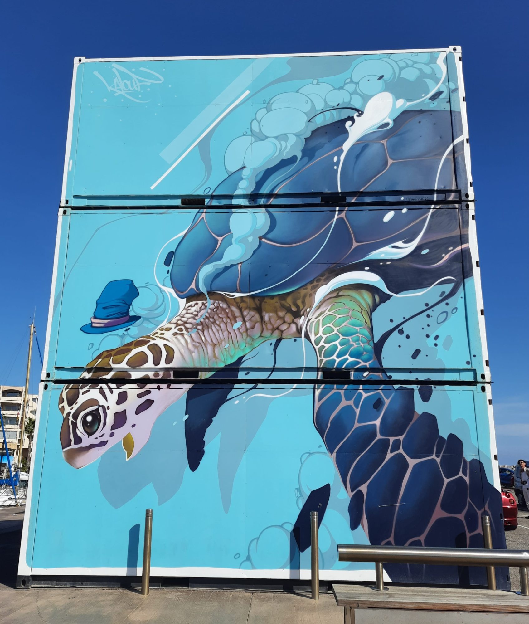 The Turtle in a Blue Hat — Street art by Kalouf in Le Barcarès