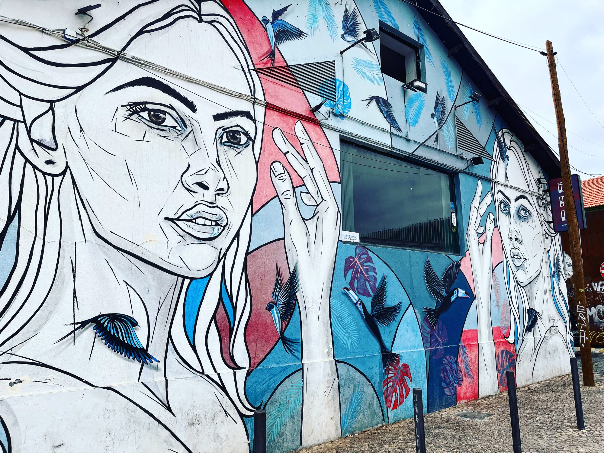 Two faces amid tropical foliage — Street art in Lisboa