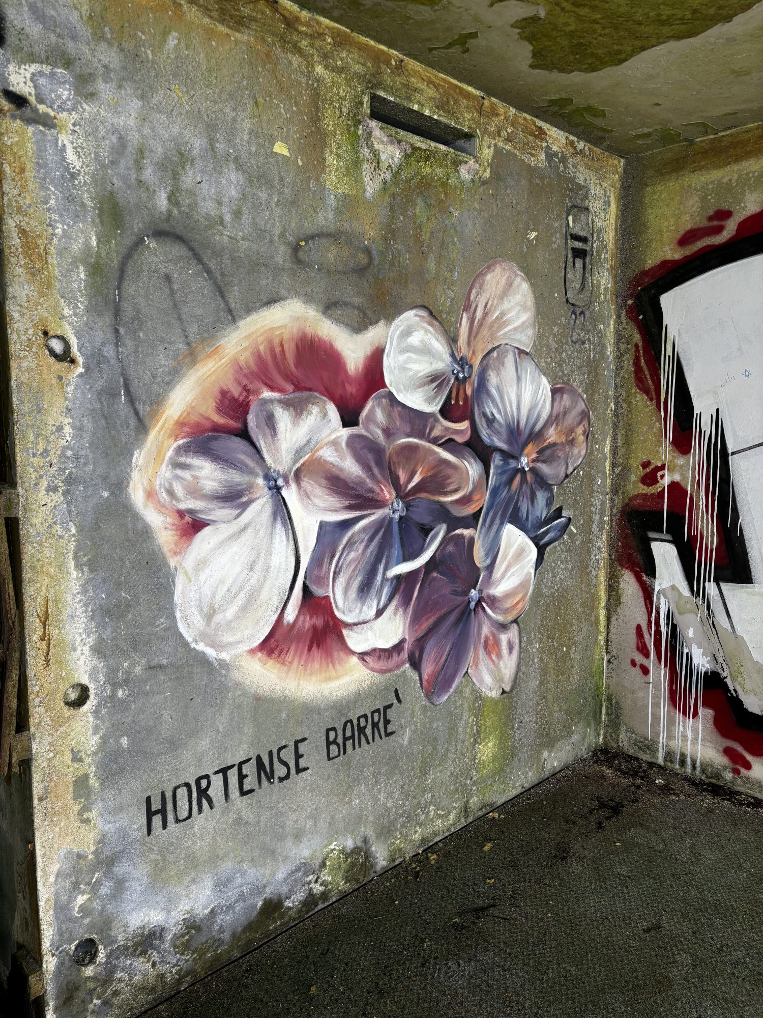 Fleurs et féminité à Sete Cidades — Street art à Sete Cidades