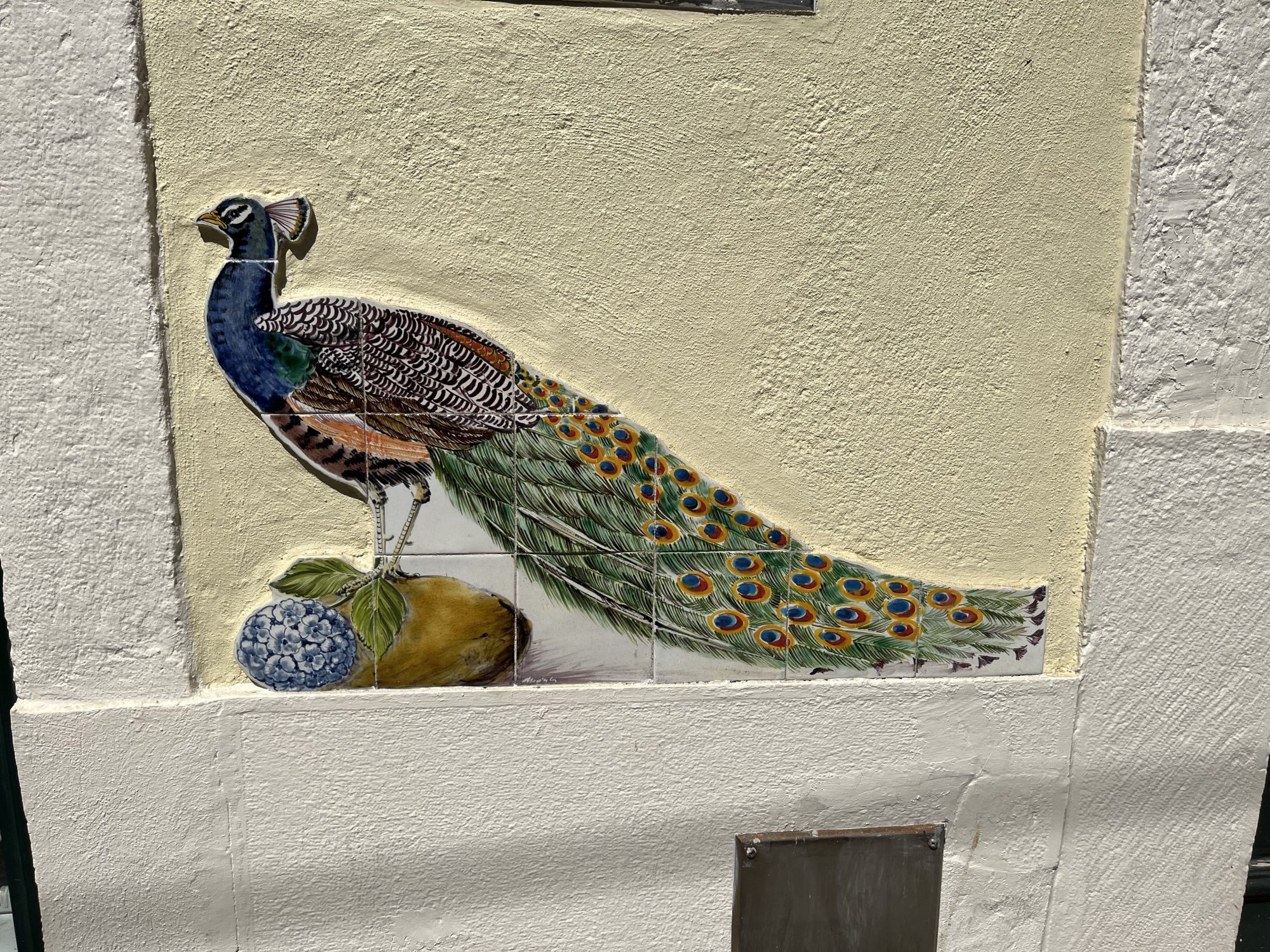 Peacock in Azulejos — Street art in Lisboa