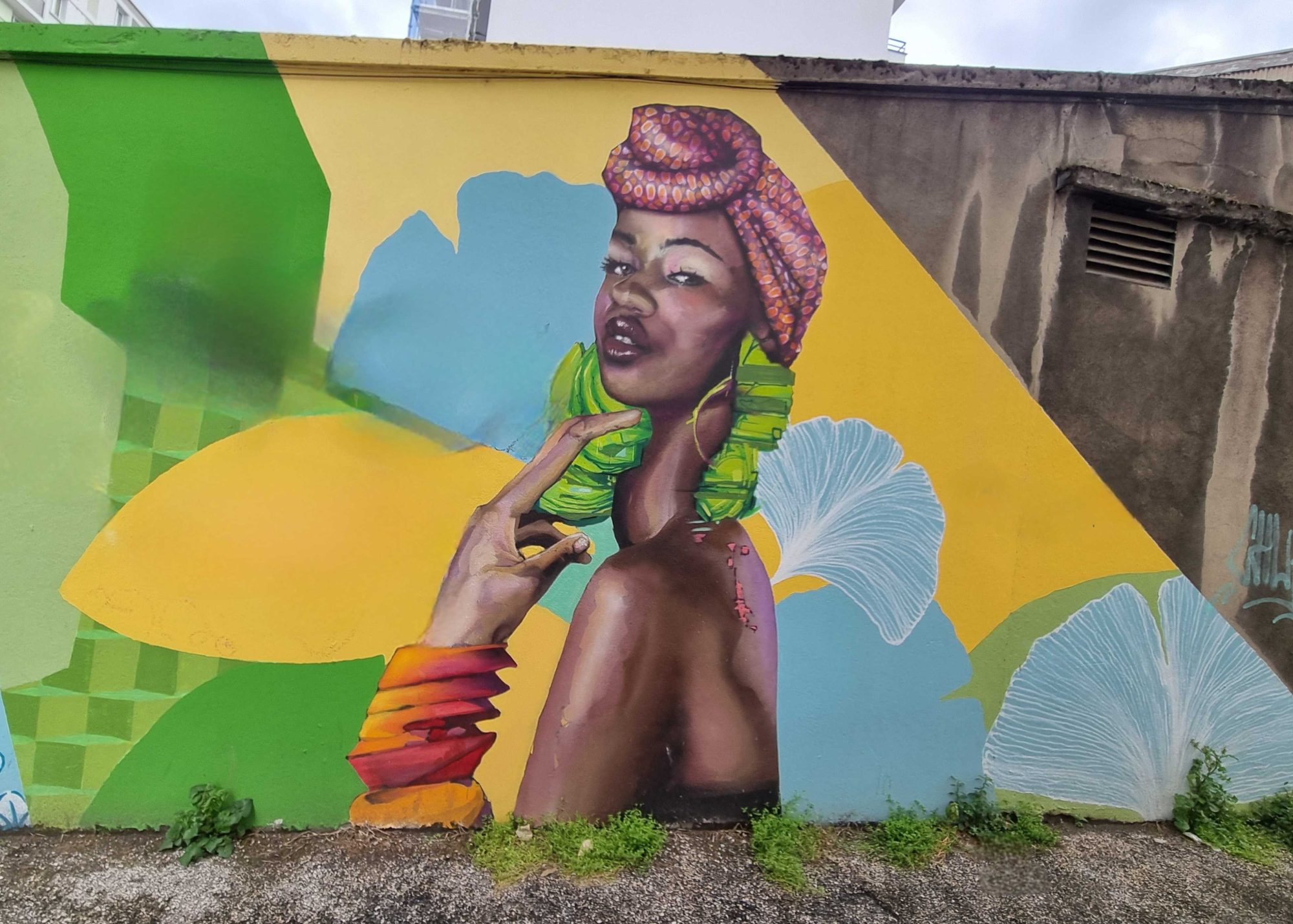 Portrait of a Woman in a Pink Turban — Street art in Grenoble