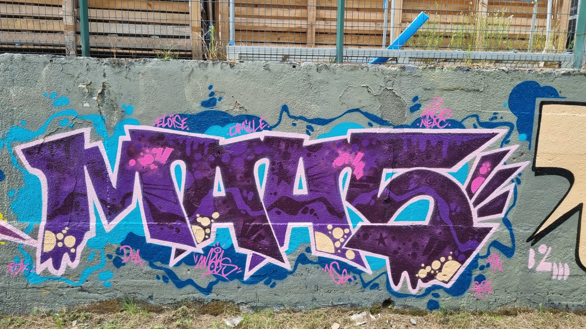 Maas en violet et bleu — Street art à Saint-Brieuc