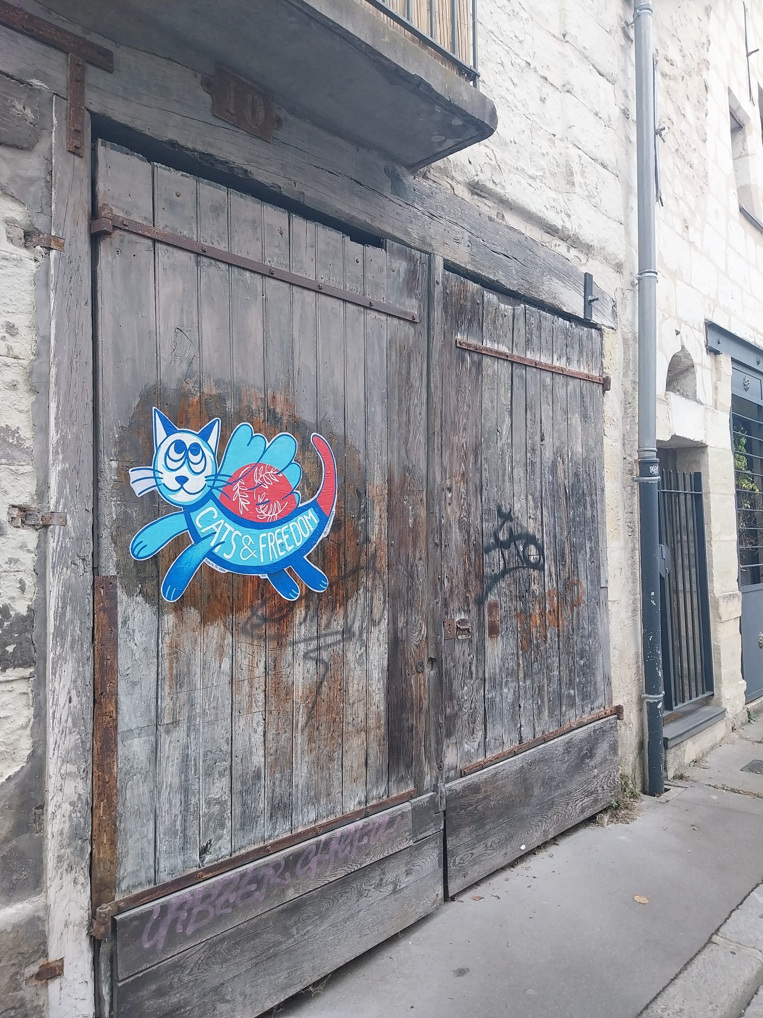 Chat bleu Cats & Freedom — Street art à Tours