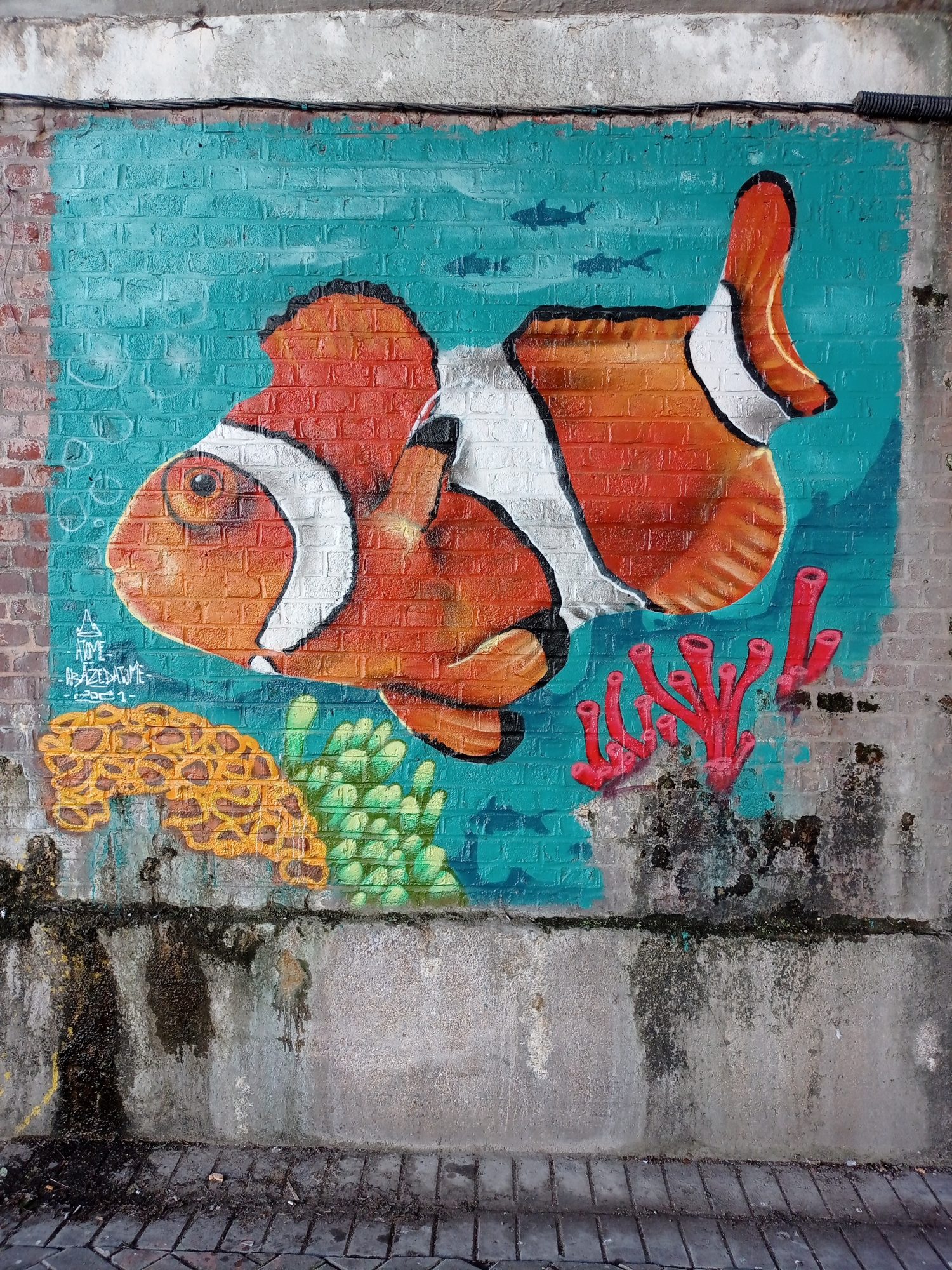 Clownfish on a Turquoise Wall — Street art in Lille