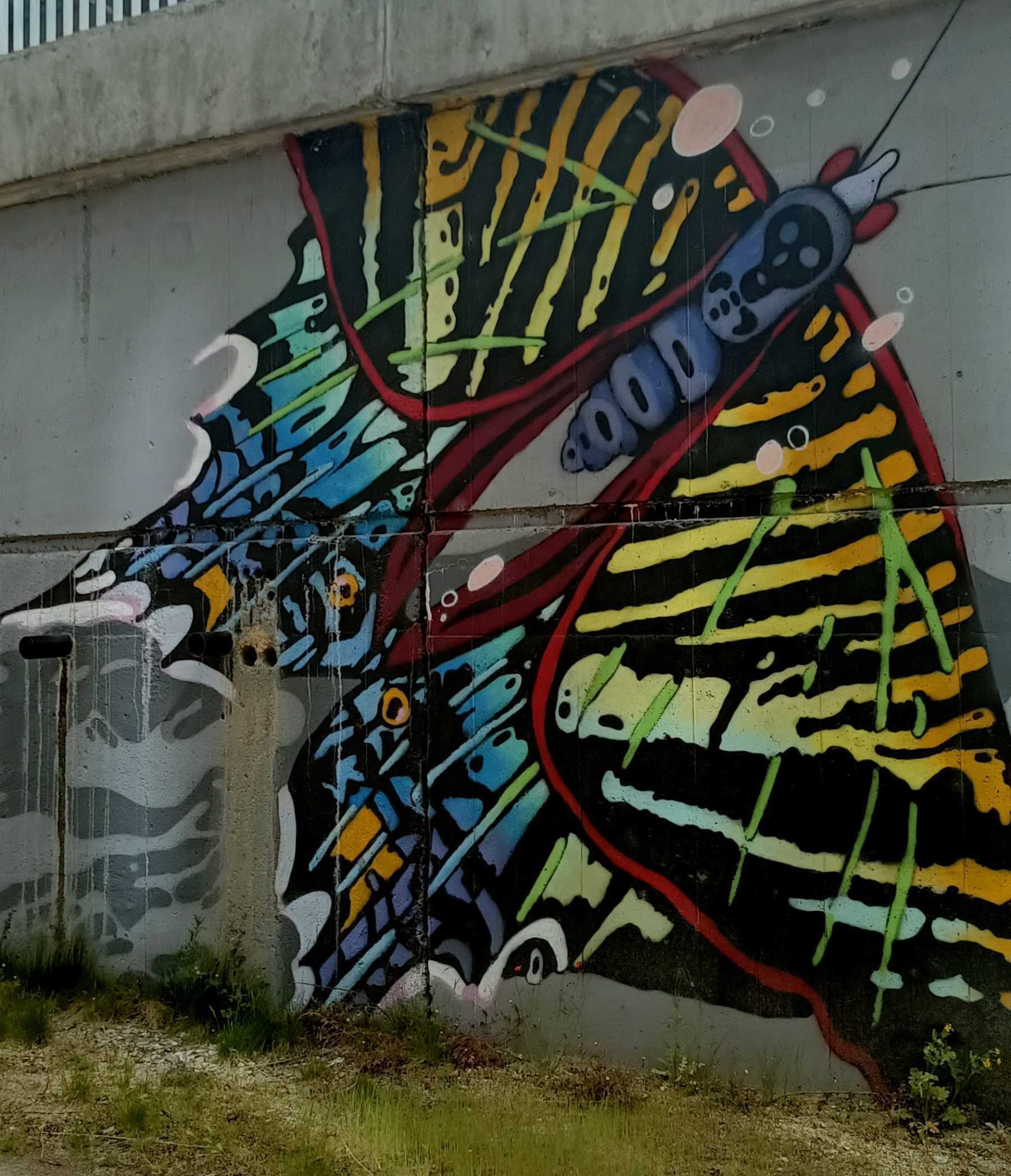 Graphic Butterfly with Colorful Wings — Street art in Prague