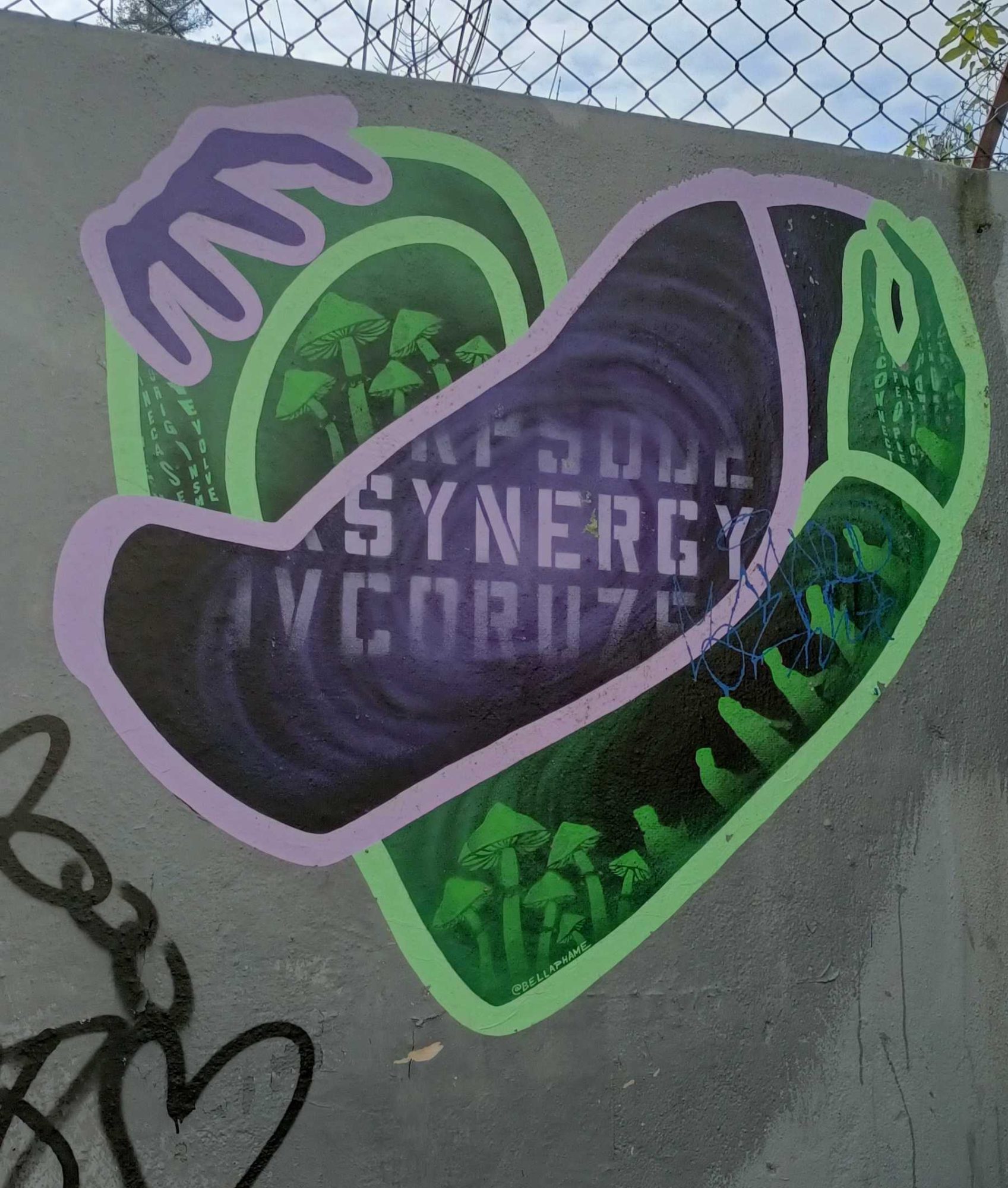 Cœur mycélien synergique — Street art à Porto