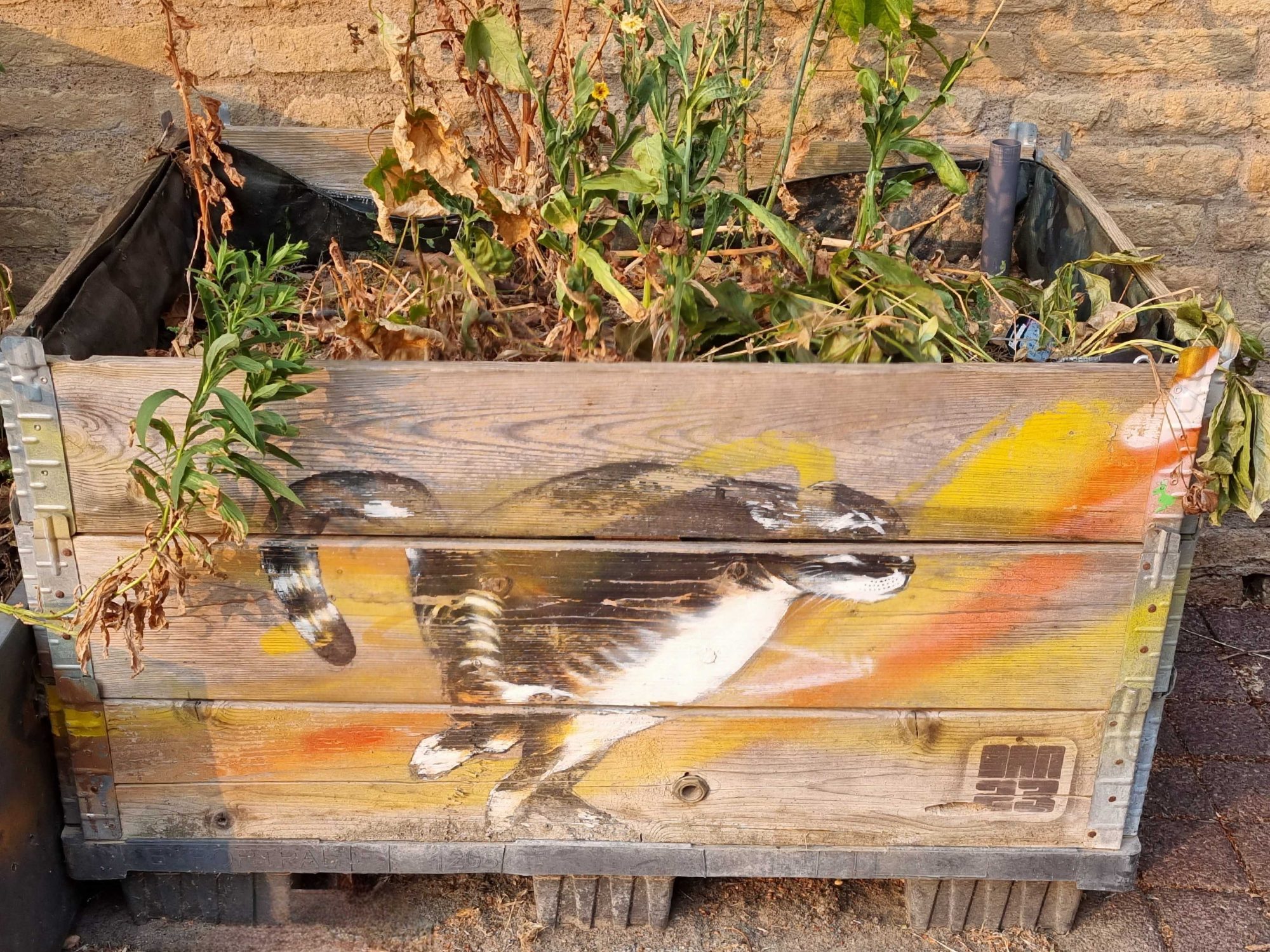 Oiseaux dansants — Street art de Dan23 à Strasbourg