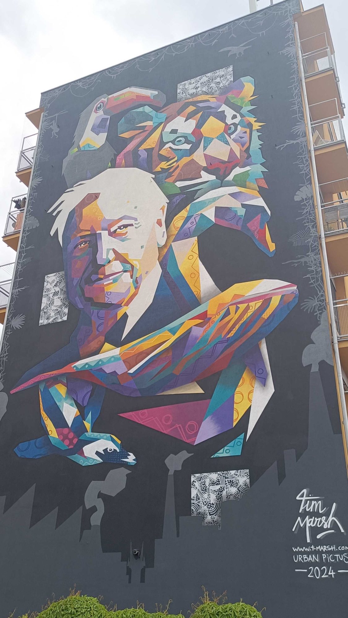 Geometric Portrait - Attenborough — Street art by Tim Marsh in Prague