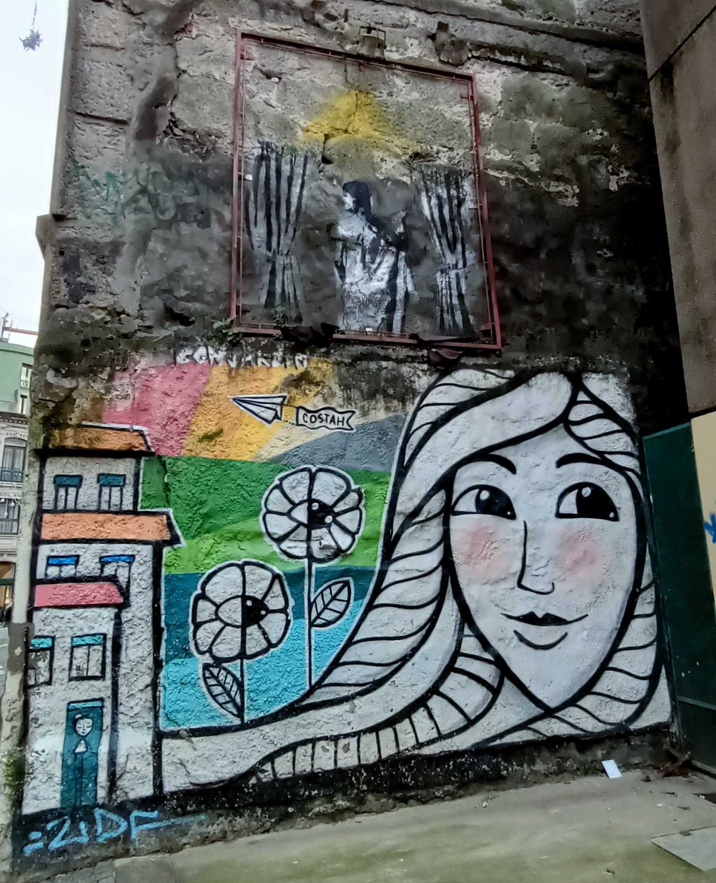 Visage féminin fleuri par Nuno Costah — Street art de Nuno Costah à Porto