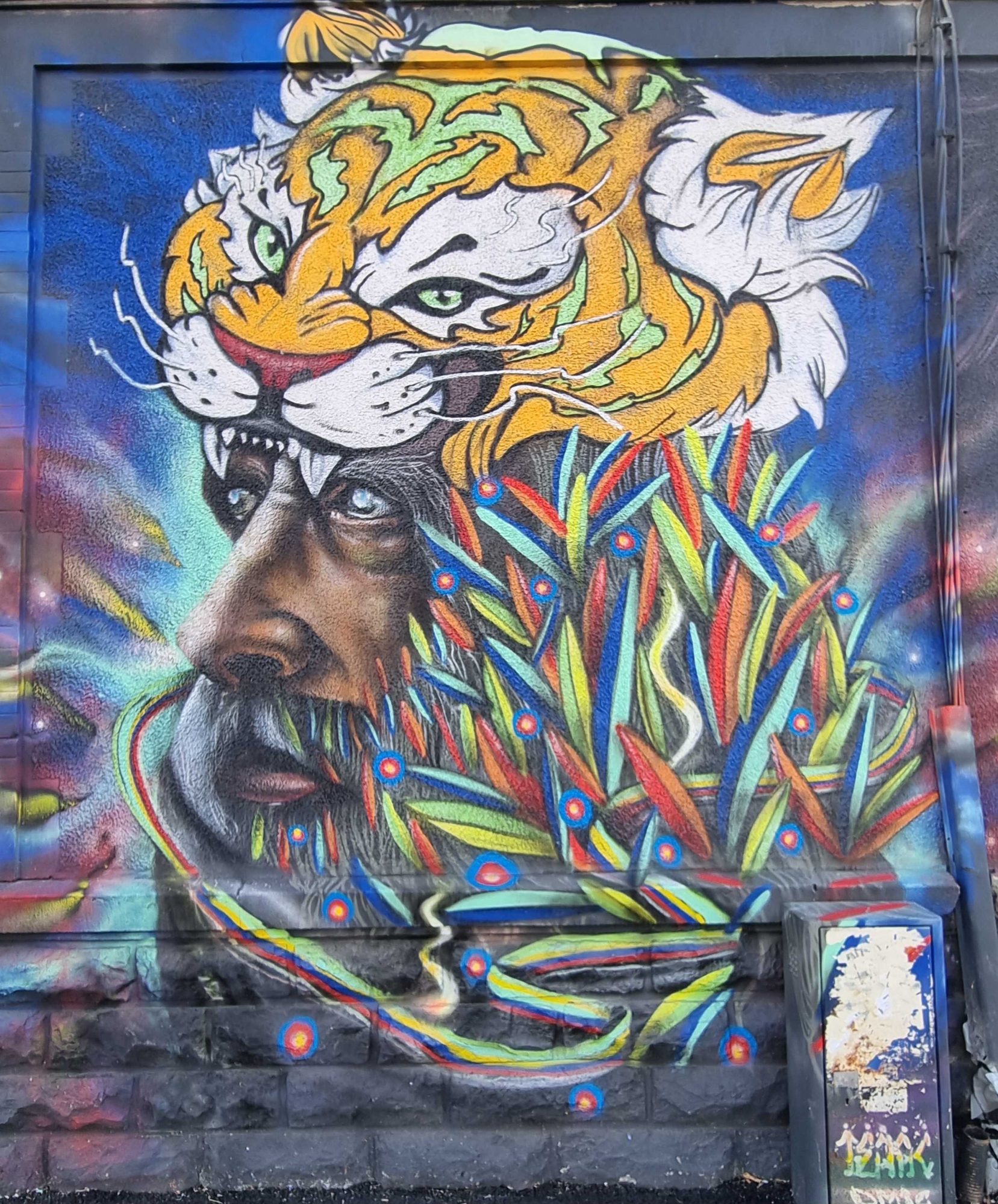 Homme au masque de tigre — Street art à Clermont-Ferrand