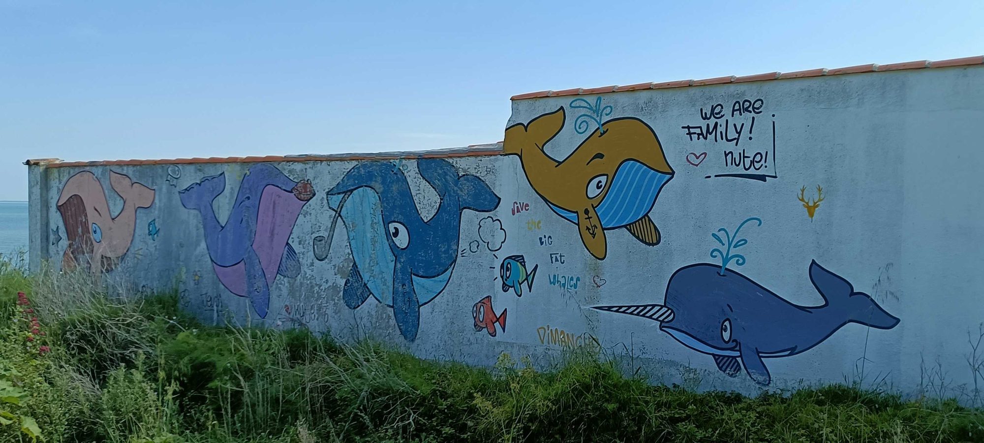 Créatures marines - symphonie aquatique — Street art à Saint-Martin-de-Ré