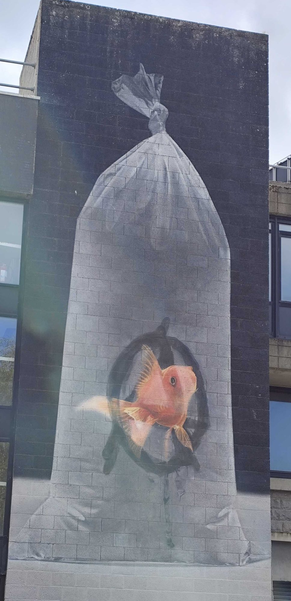 Poisson rouge s'échappant du sachet — Street art à Aberdeen