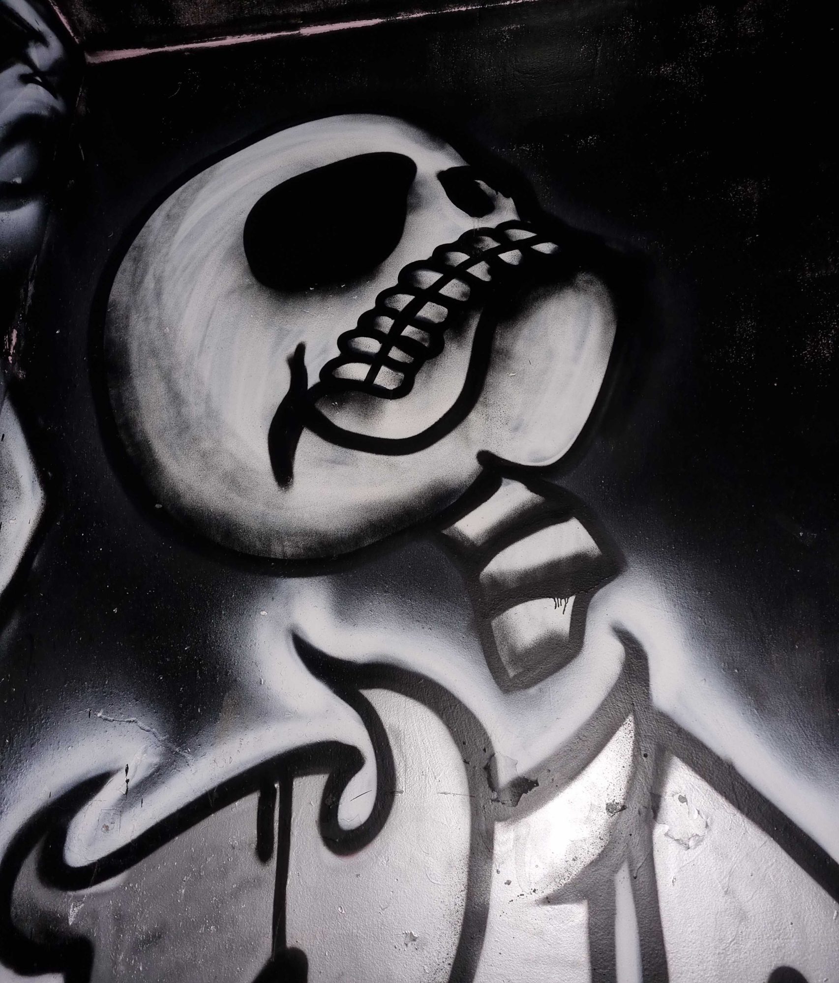 The Skull in a Hat — Street art in Grenoble