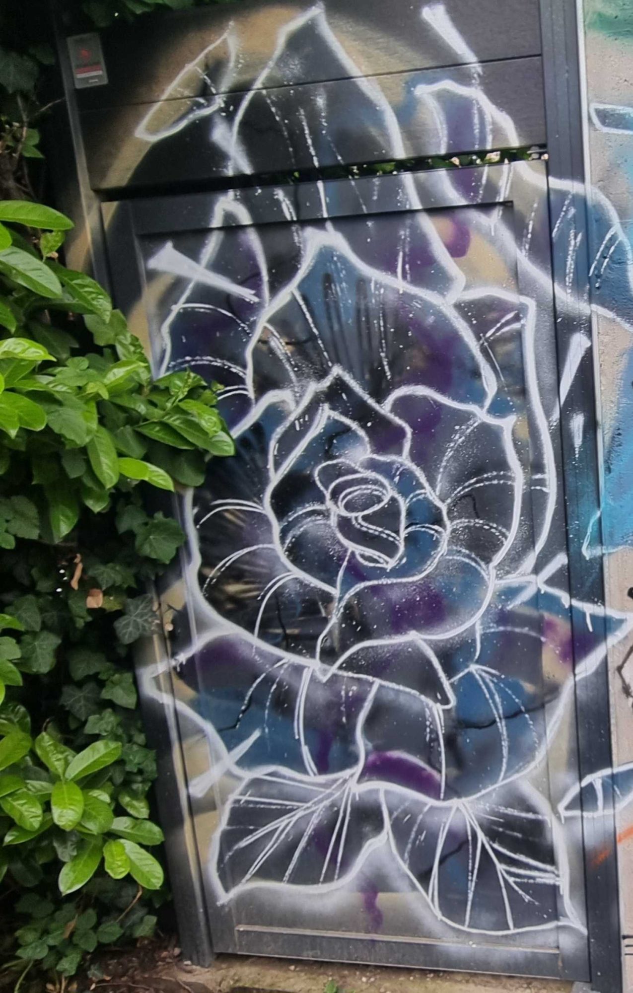 Blue-Purple Rose on Dark Background — Street art in Grenoble