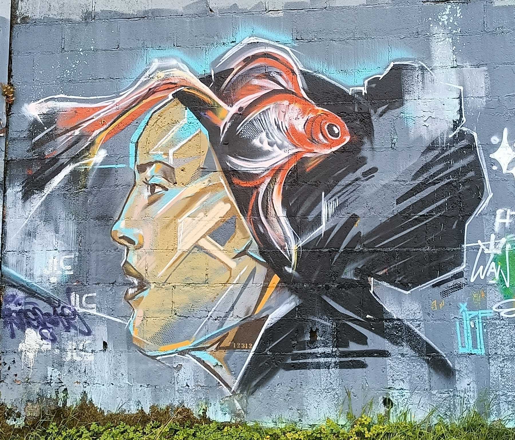 Face and Goldfish by Jef — Street art by Jef in Redon