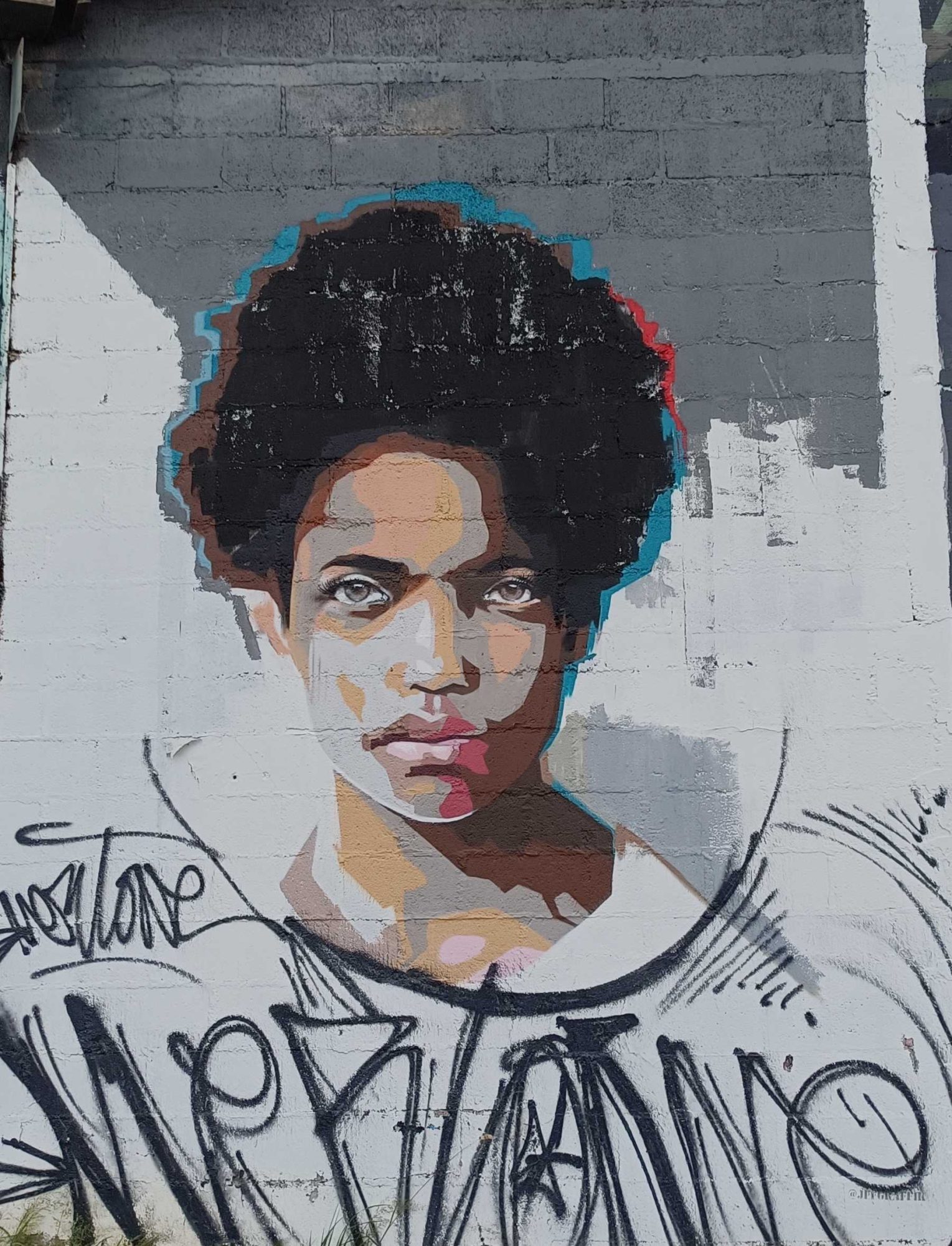 Portrait de jeune homme aux cheveux naturels — Street art à Redon