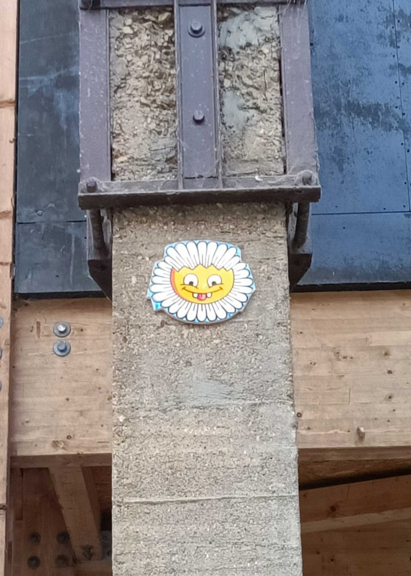 Daisy with a Yellow Face — Street art by Fast Freak in Nantes