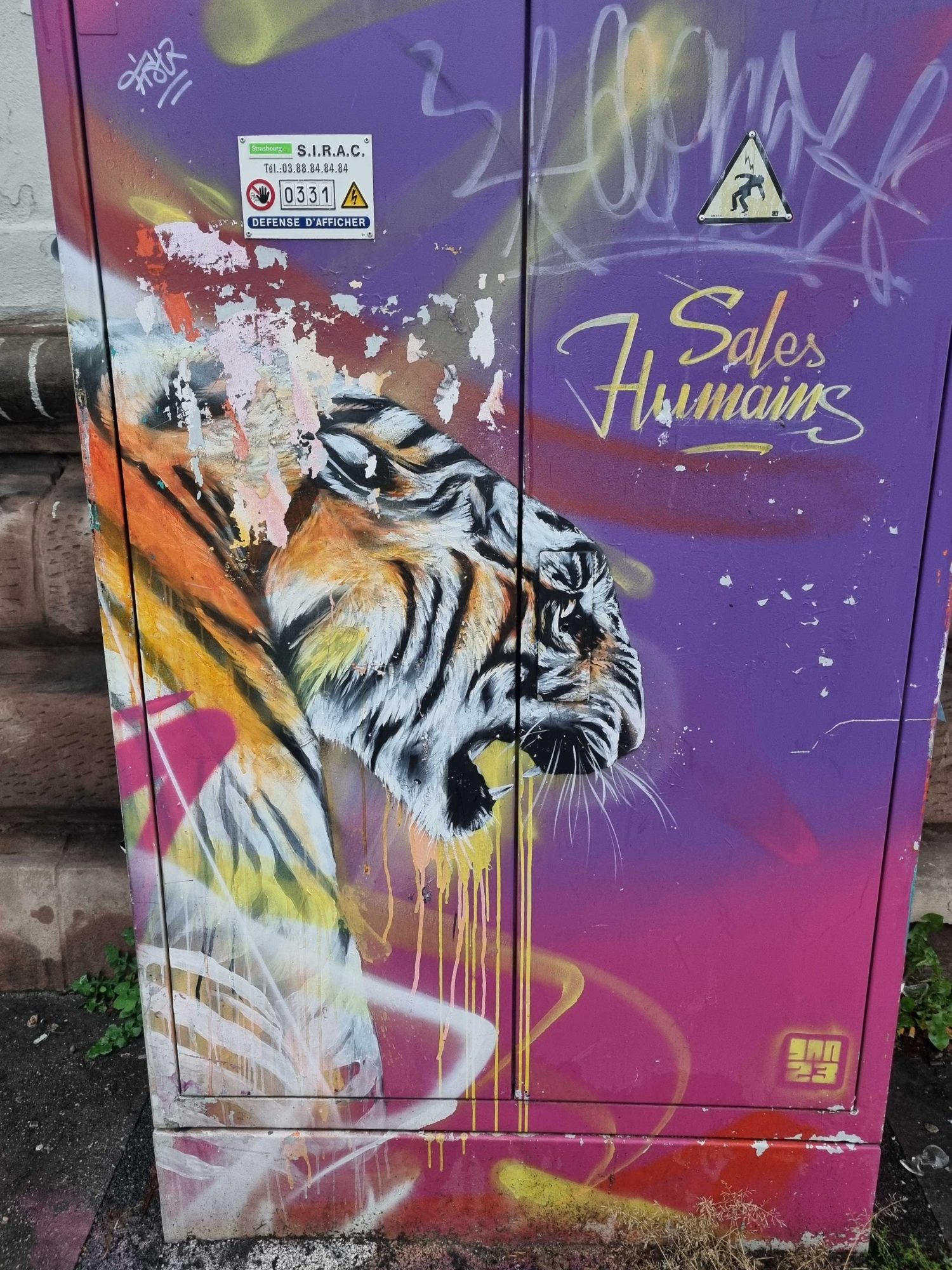 Tiger Sales Humains by Dan23 — Street art by Dan23 in Strasbourg