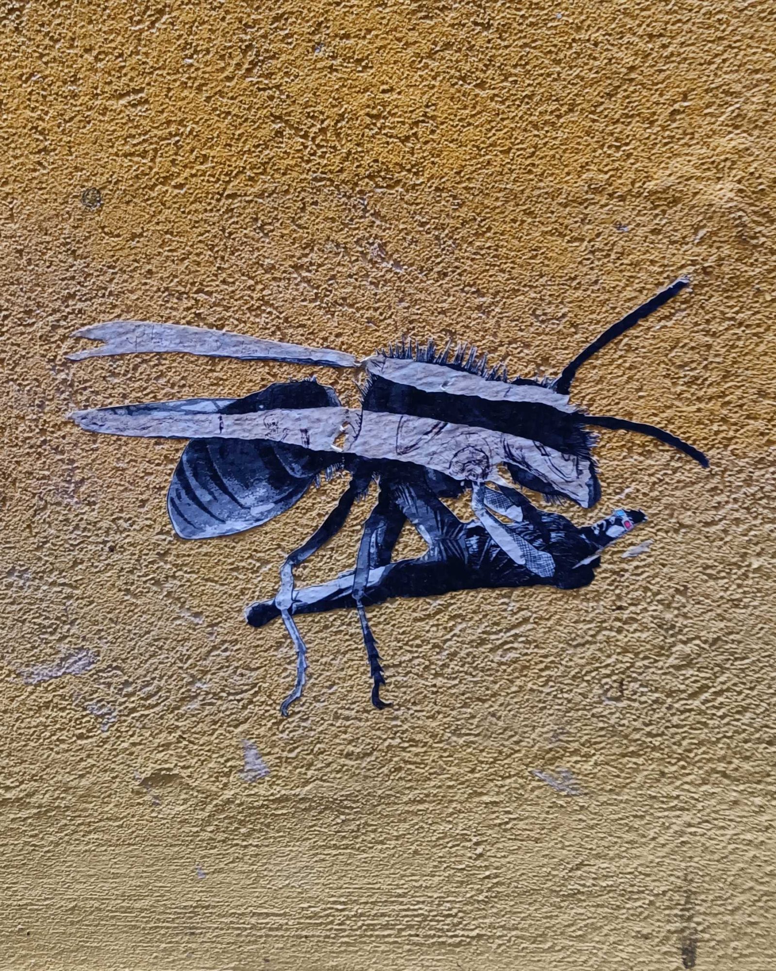 Guêpe noire sur mur ocre — Street art à Porto