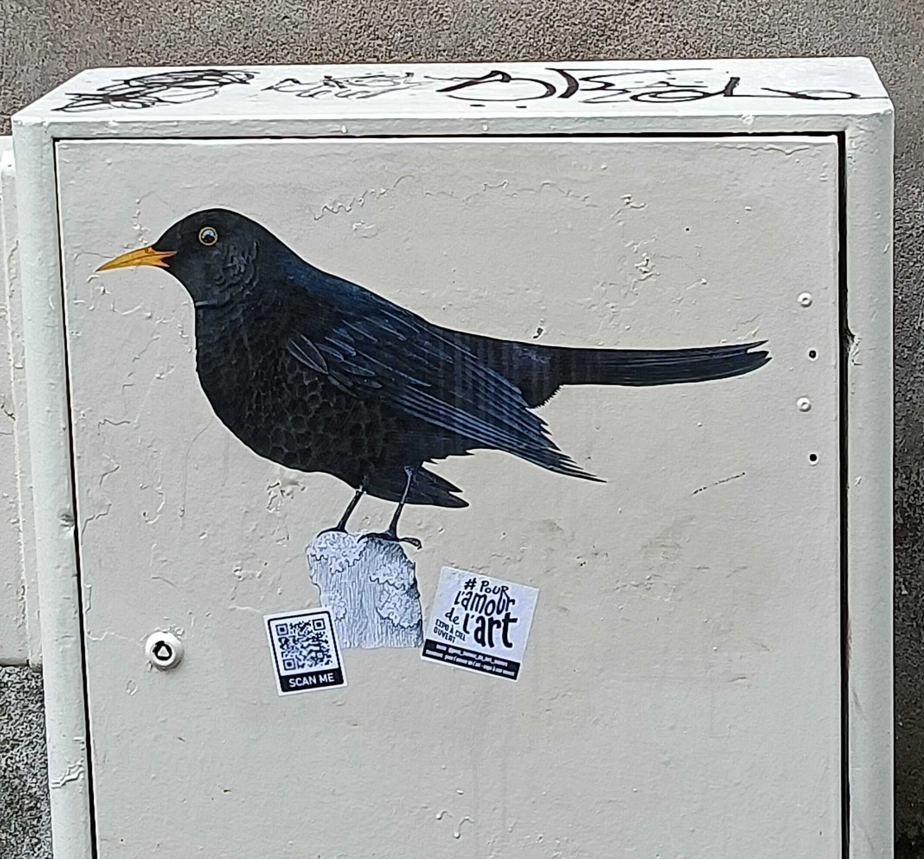 Merle noir réaliste sur boîtier urbain — Street art à Nantes