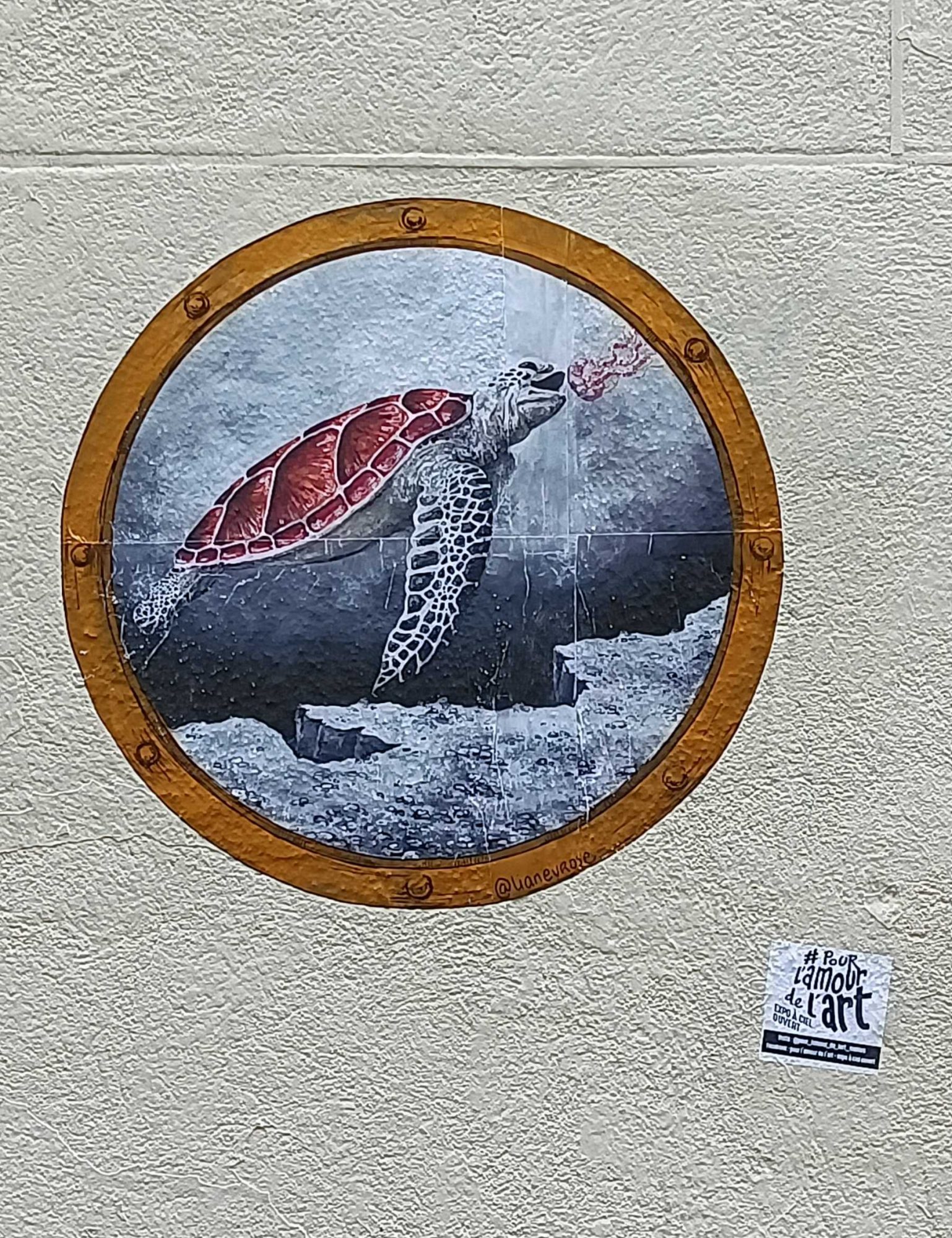 Sea Turtle Through a Porthole — Street art in Nantes