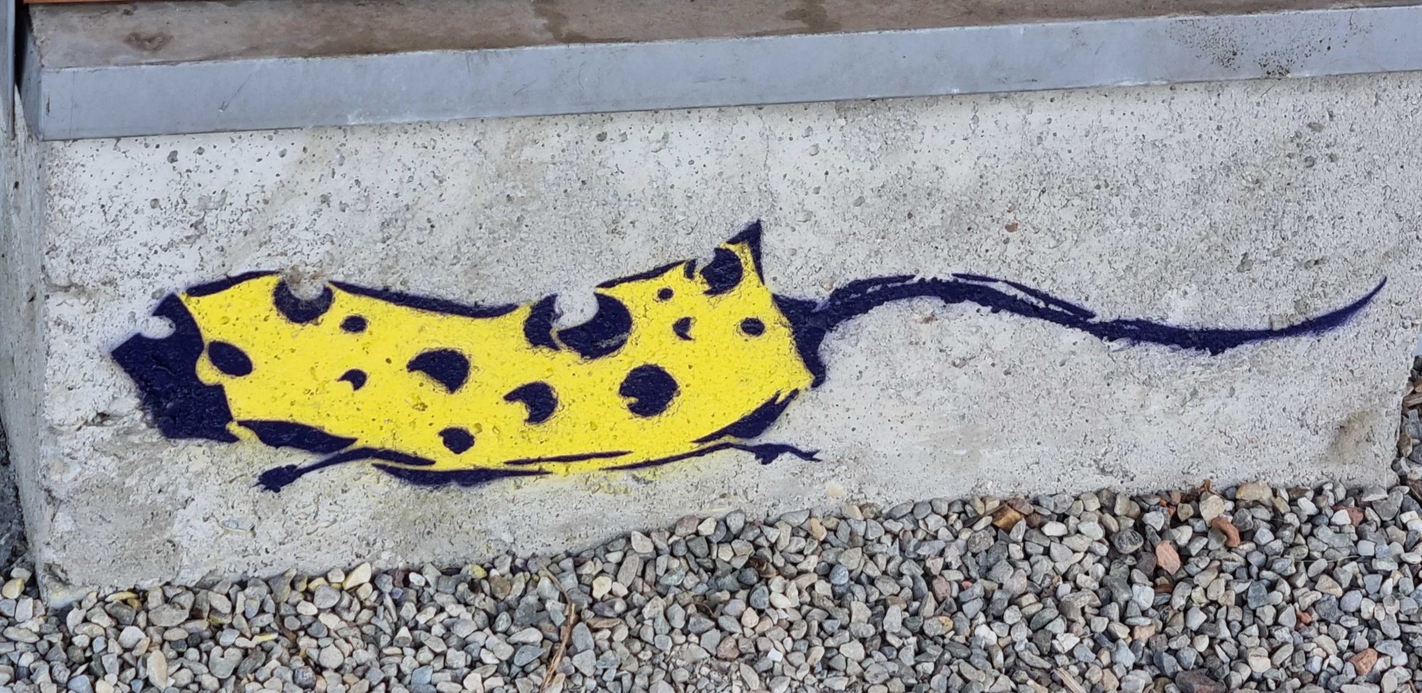 Rat en gruyère jaune — Street art à Strasbourg