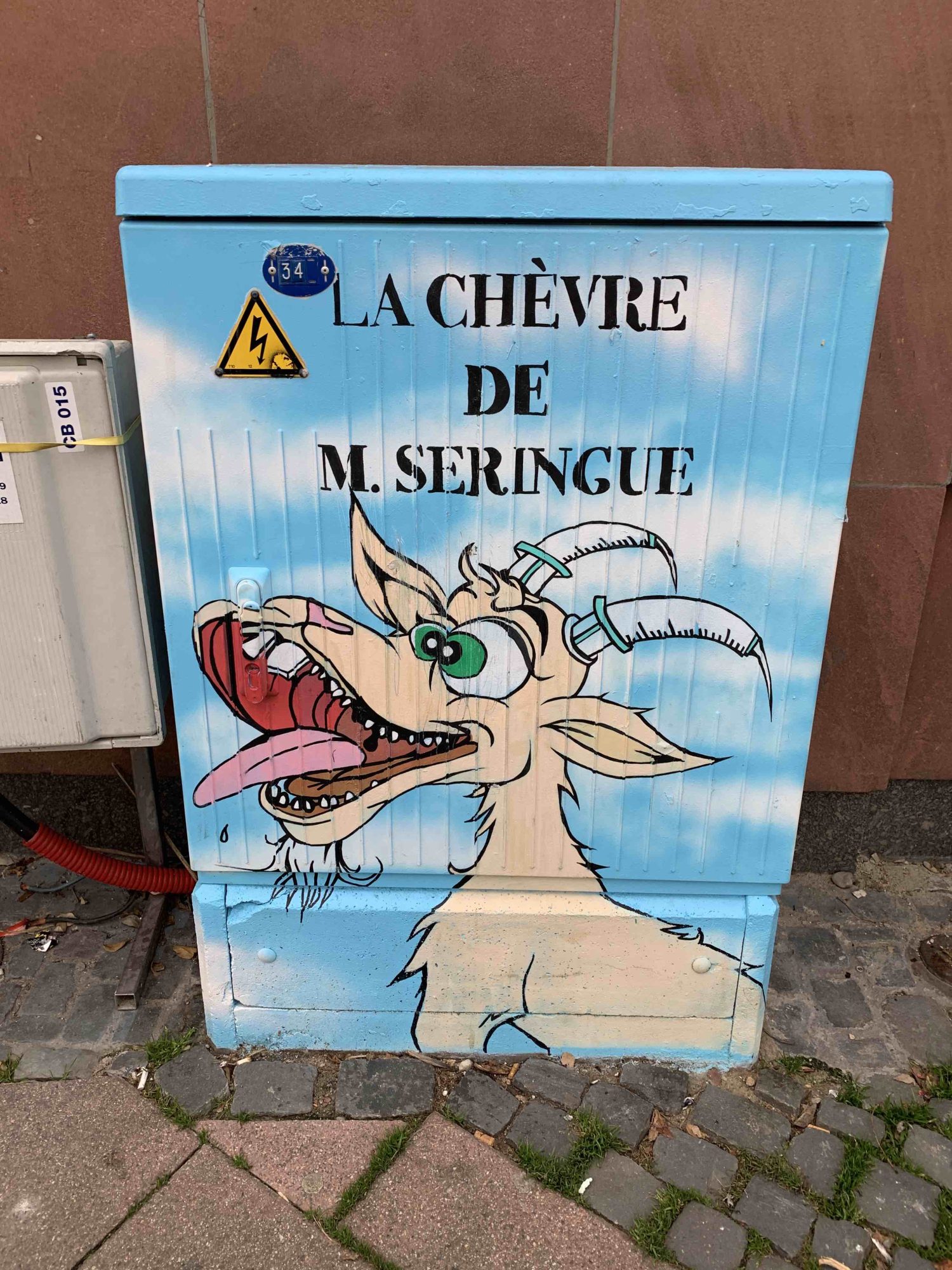 Mr. Syringe's Goat — Street art in Strasbourg